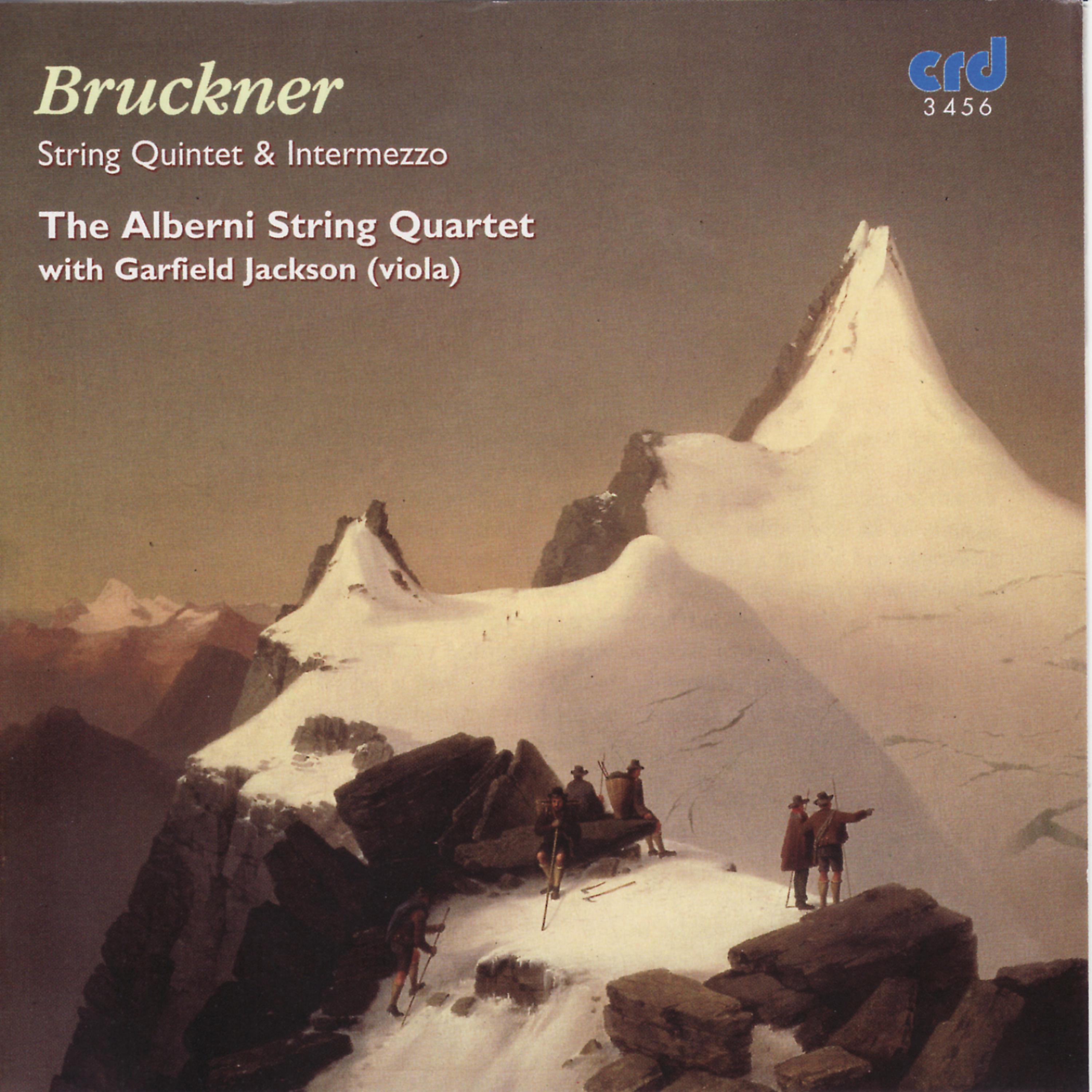 Постер альбома Bruckner: String Quintet & Intermezzo