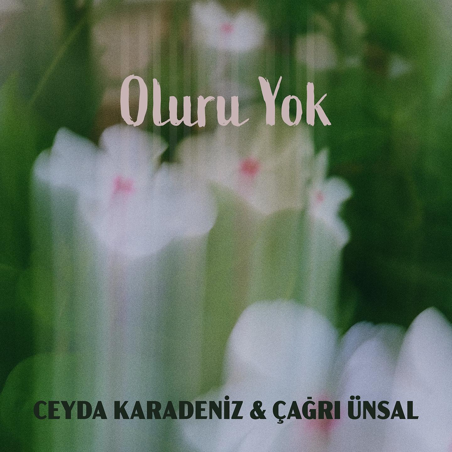 Постер альбома Oluru Yok