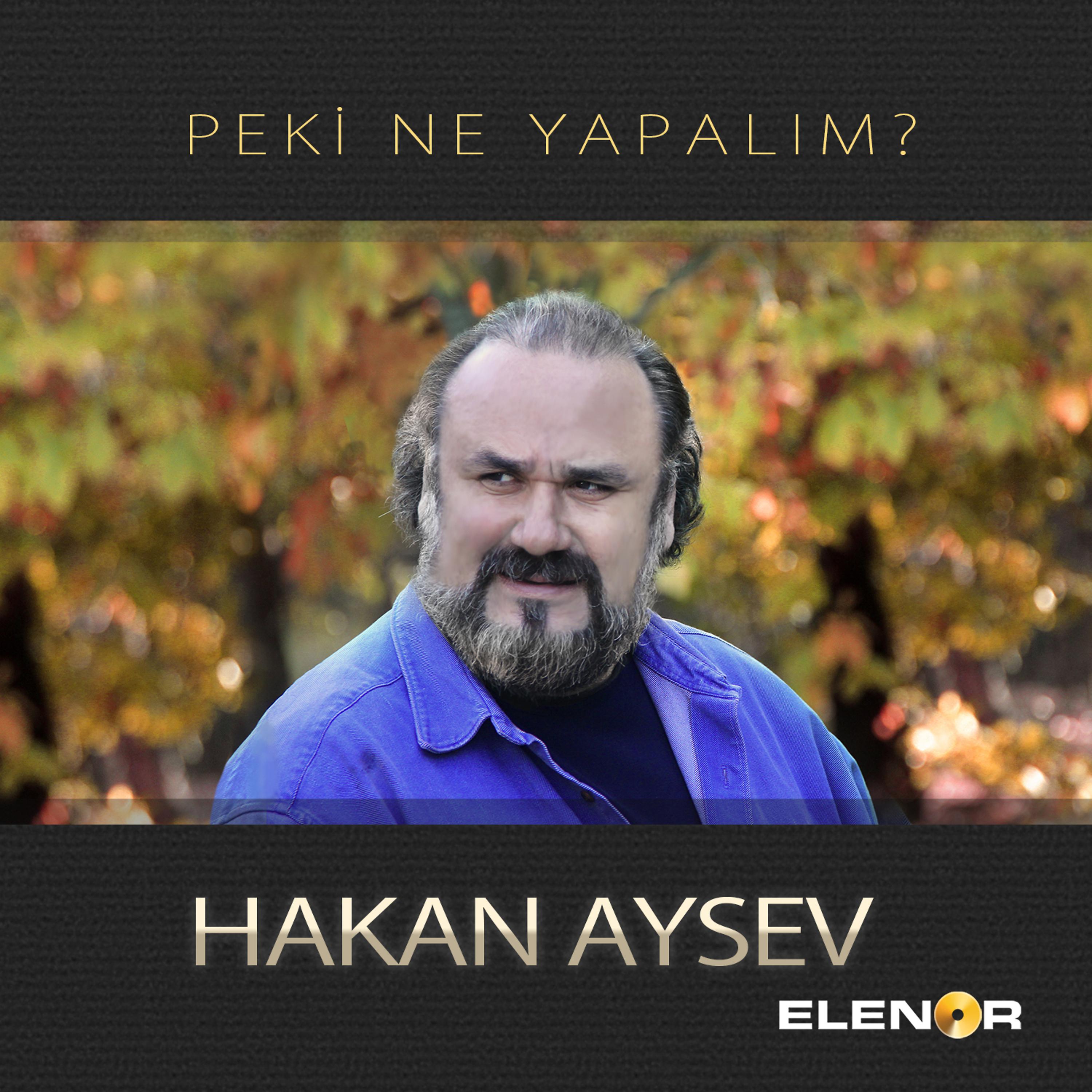 Постер альбома Peki Ne Yapalım
