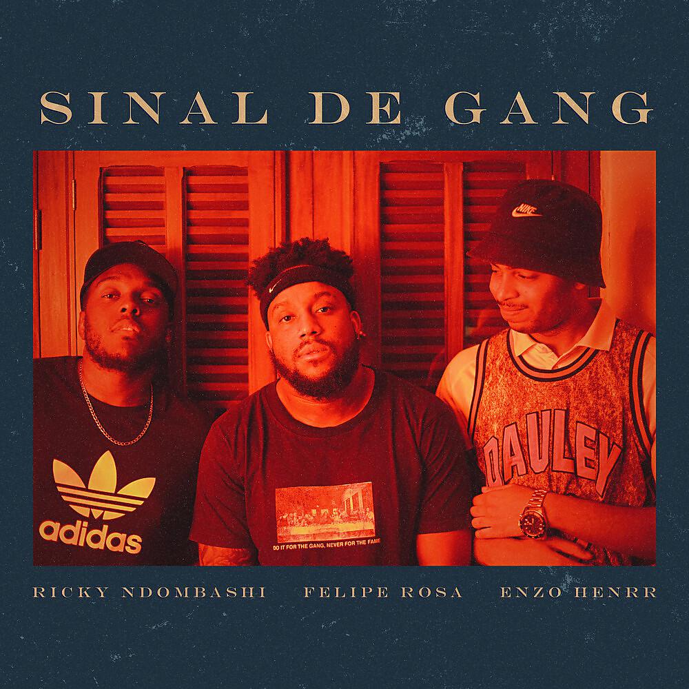 Постер альбома Sinal de Gang