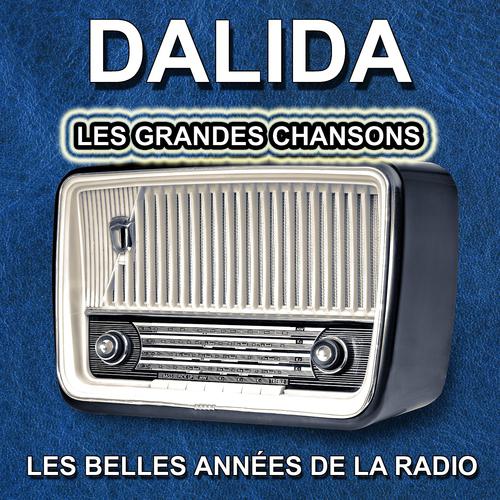 Постер альбома Les grandes chansons (Les belles années de la radio)