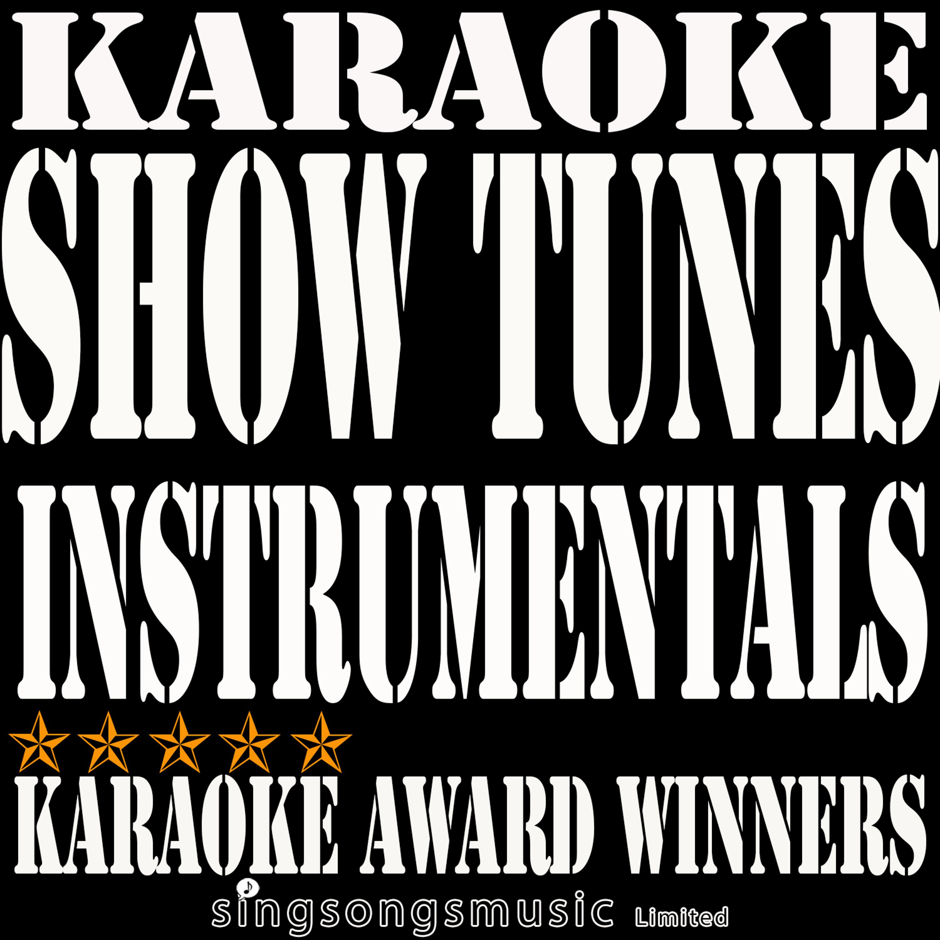 Постер альбома Show Tunes Instrumentals Karaoke, Vol. 6