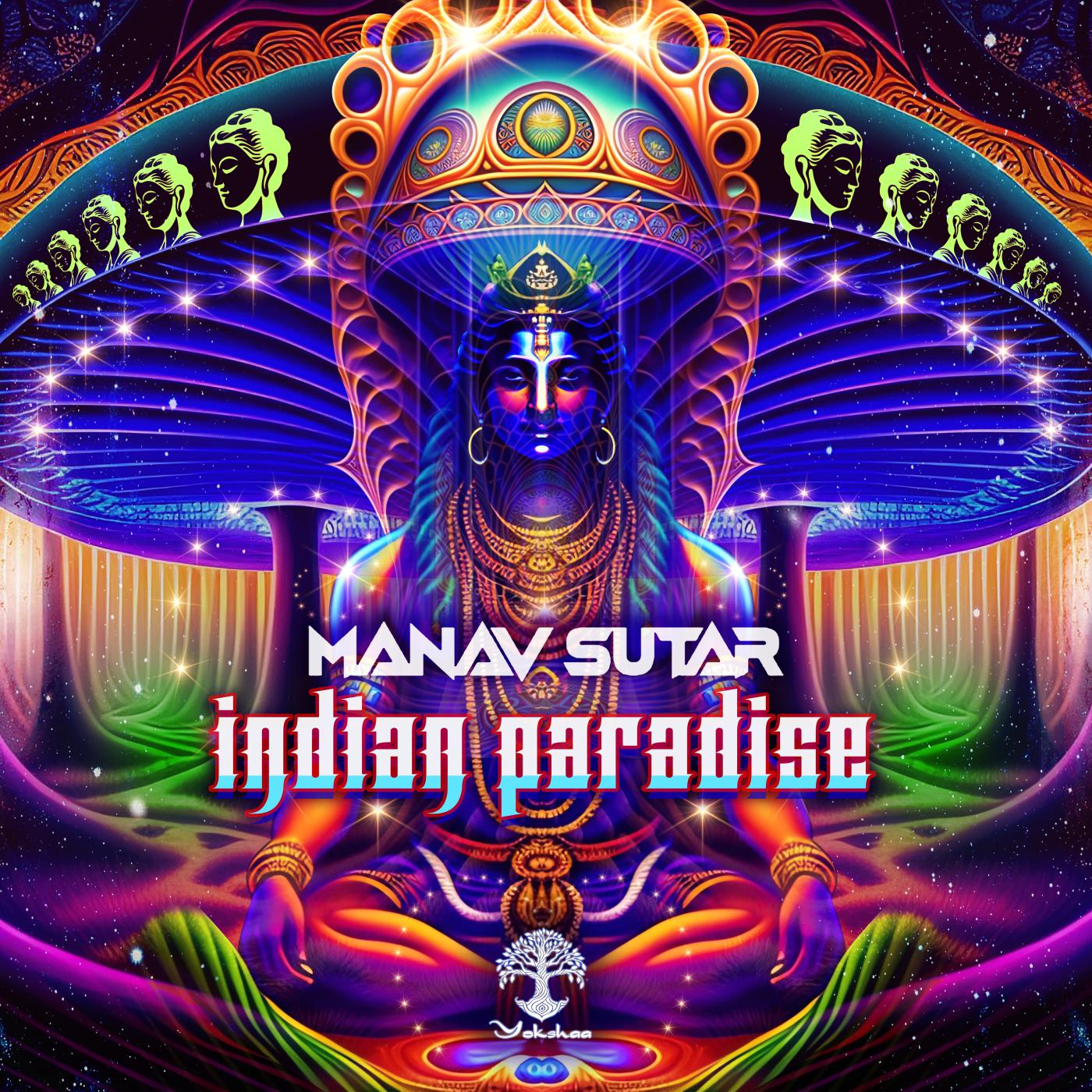 Постер альбома Indian Paradise