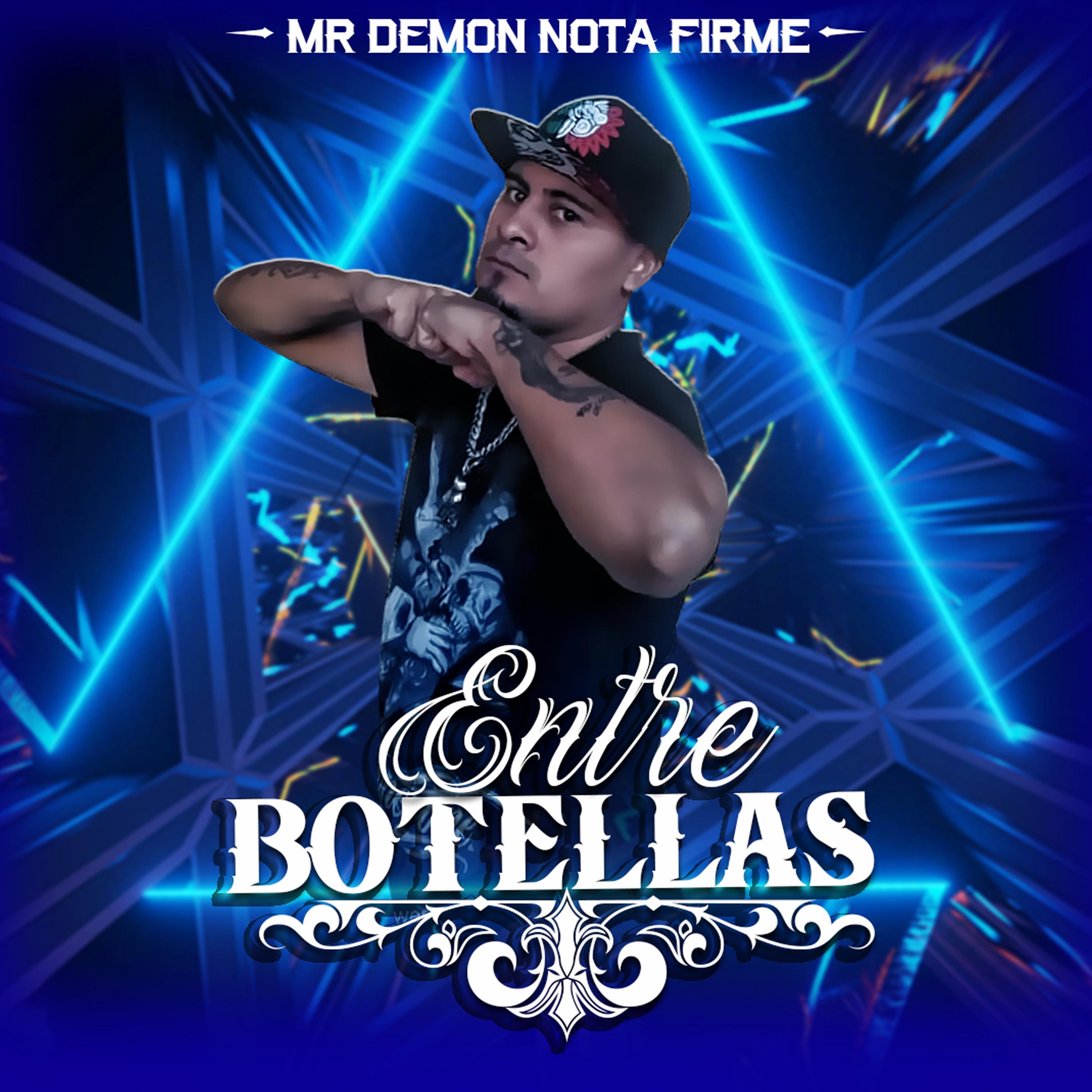 Постер альбома Entre Botellas