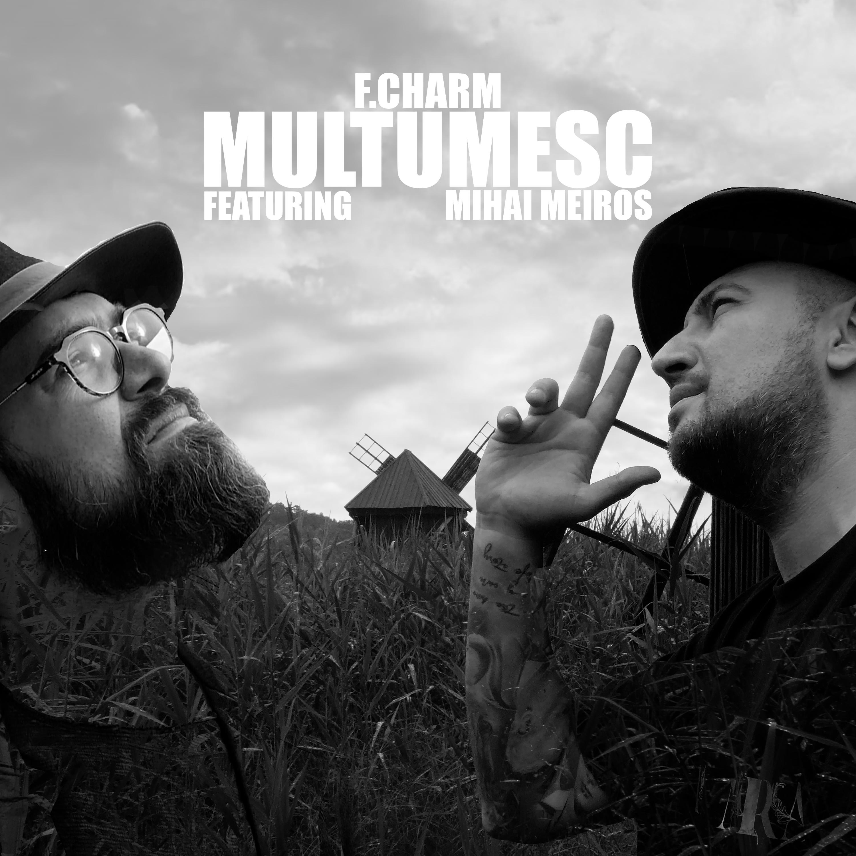 Постер альбома Multumesc