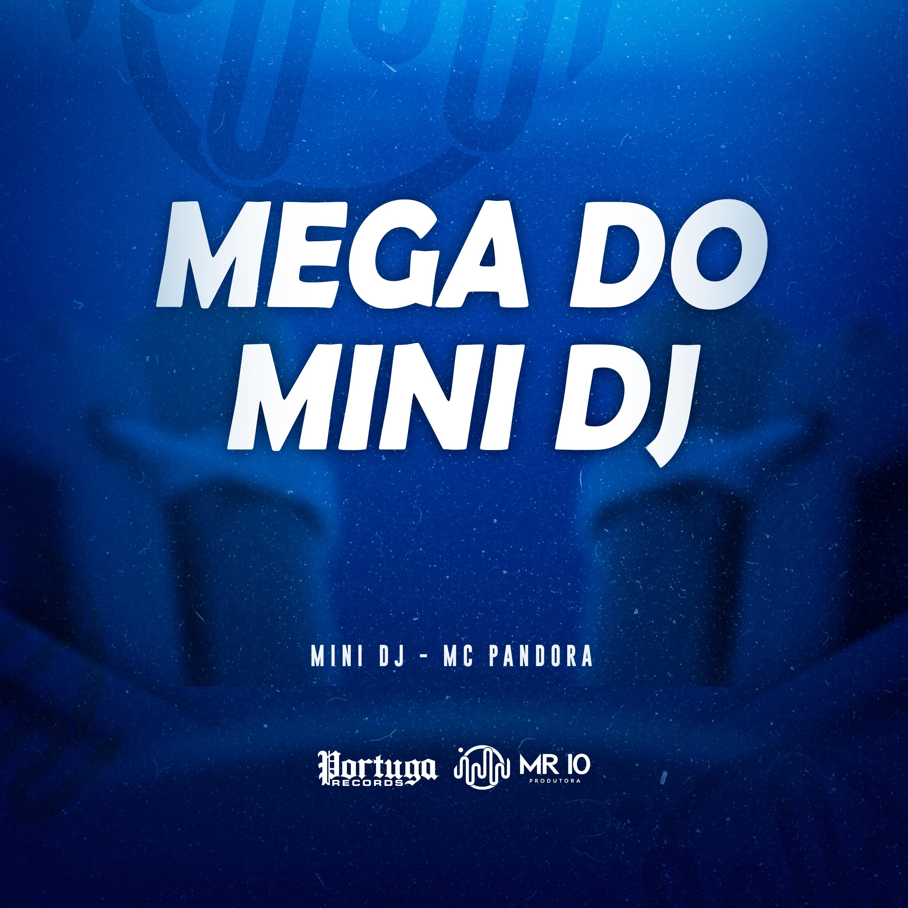Постер альбома Mega do Mini Dj