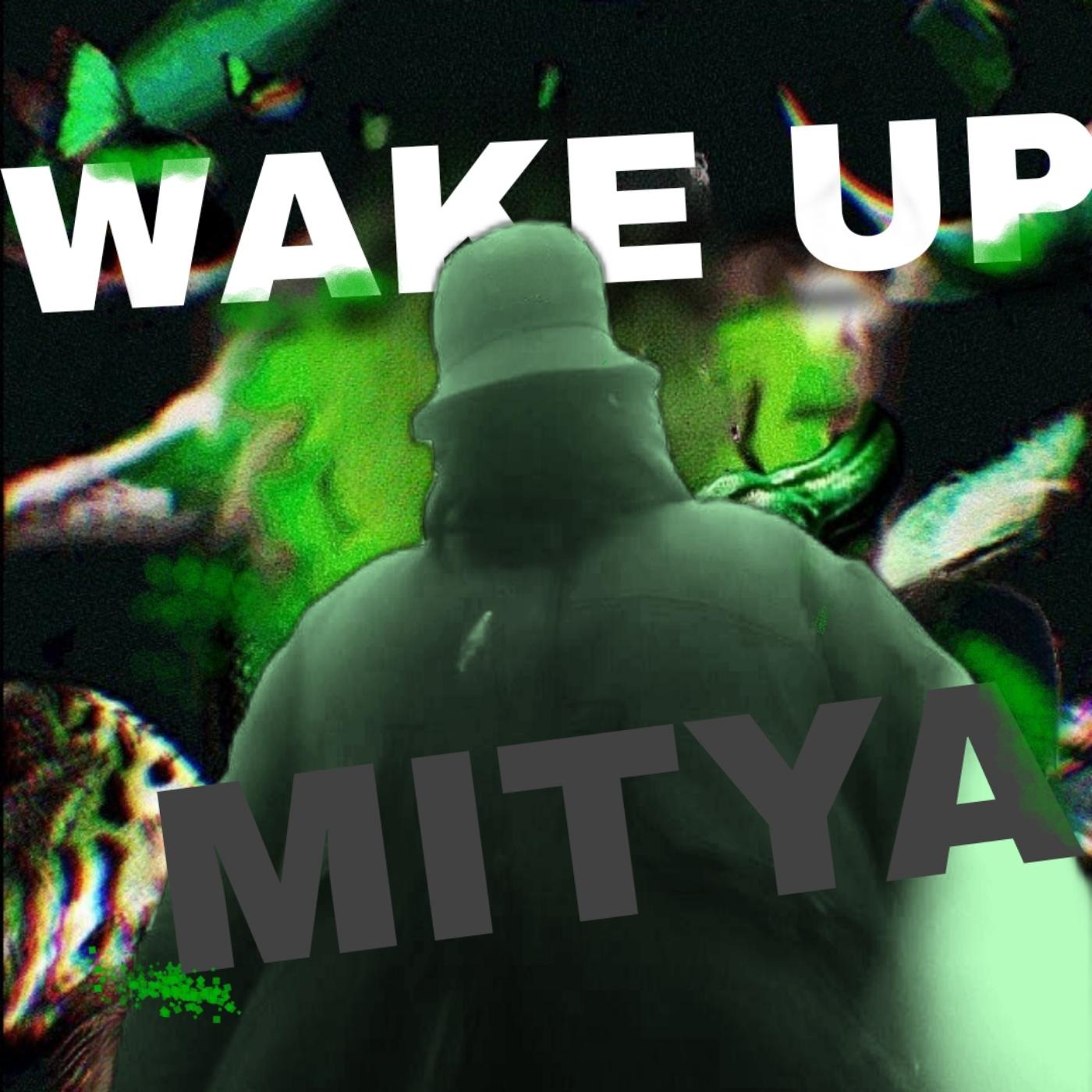 Постер альбома Wake Up Mitya