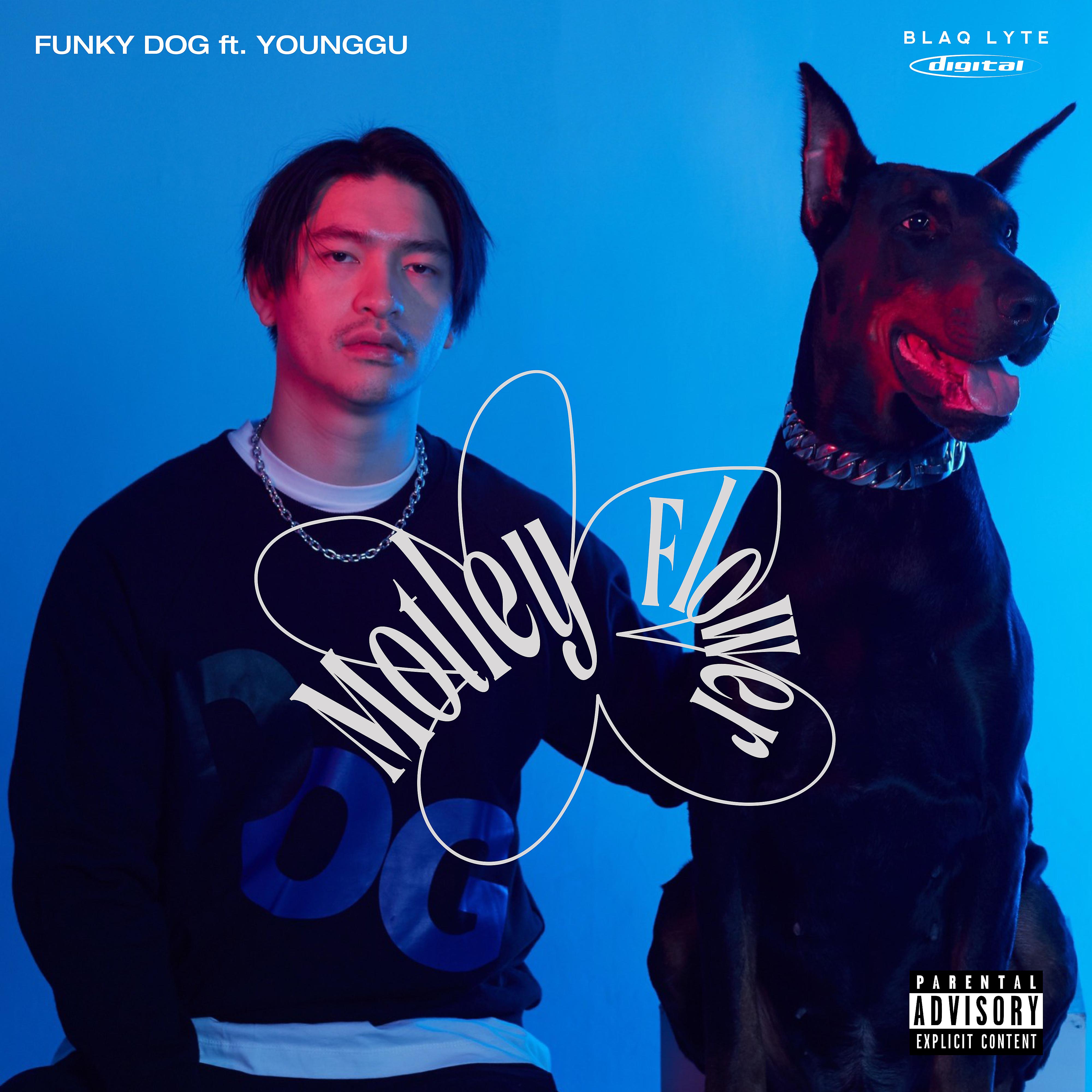 Постер альбома FUNKY DOG (feat. Younggu)