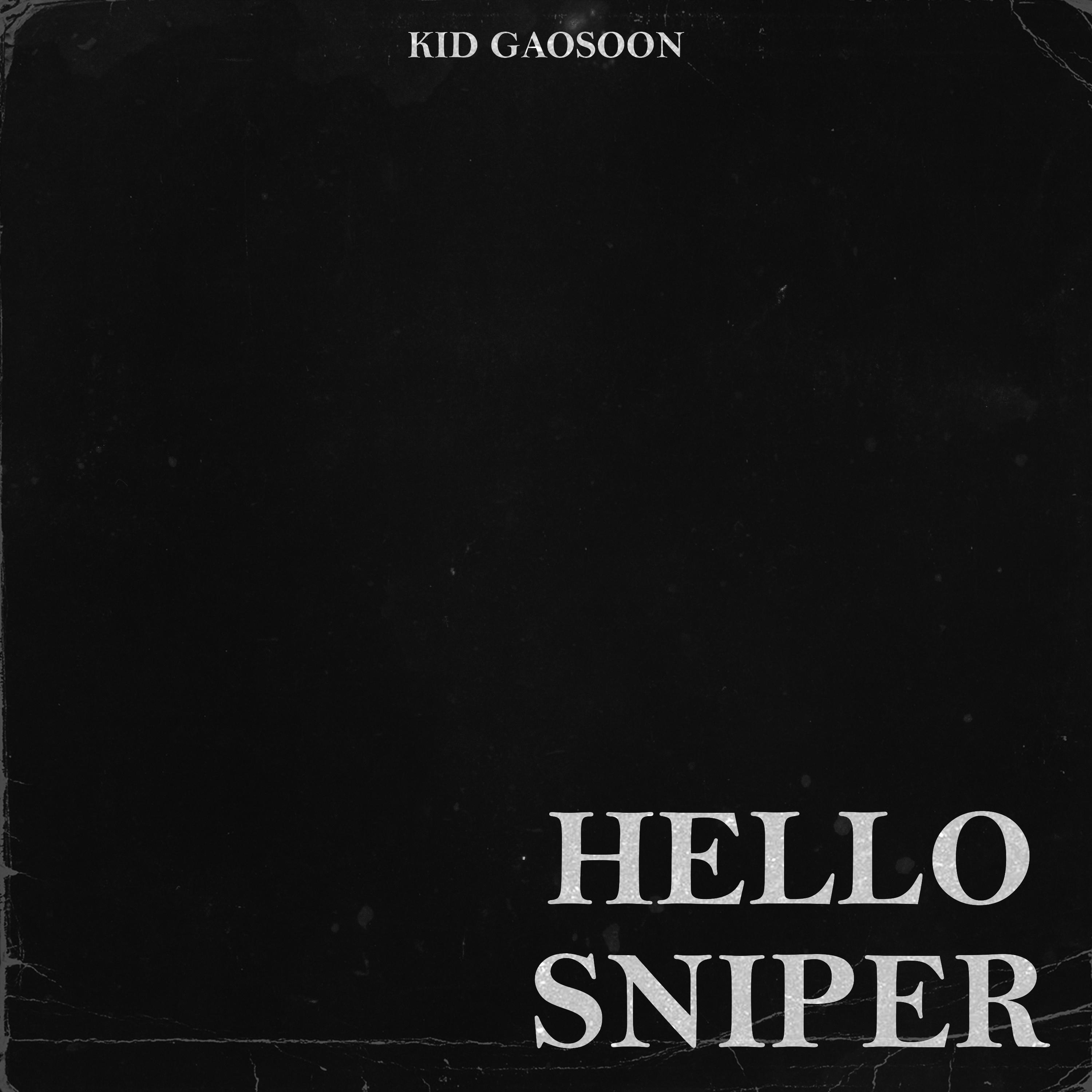 Постер альбома Hello sniper
