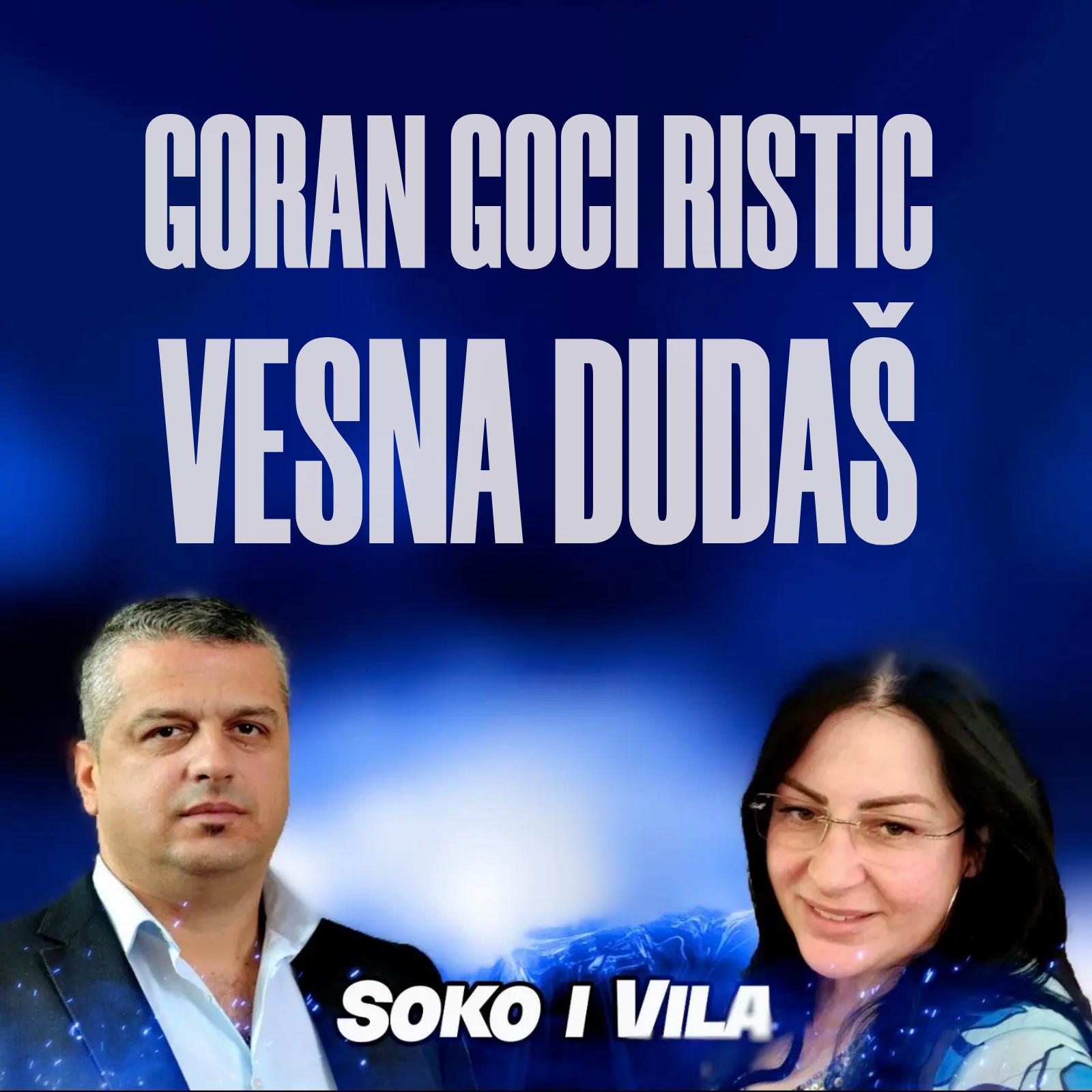 Постер альбома Soko I Vila