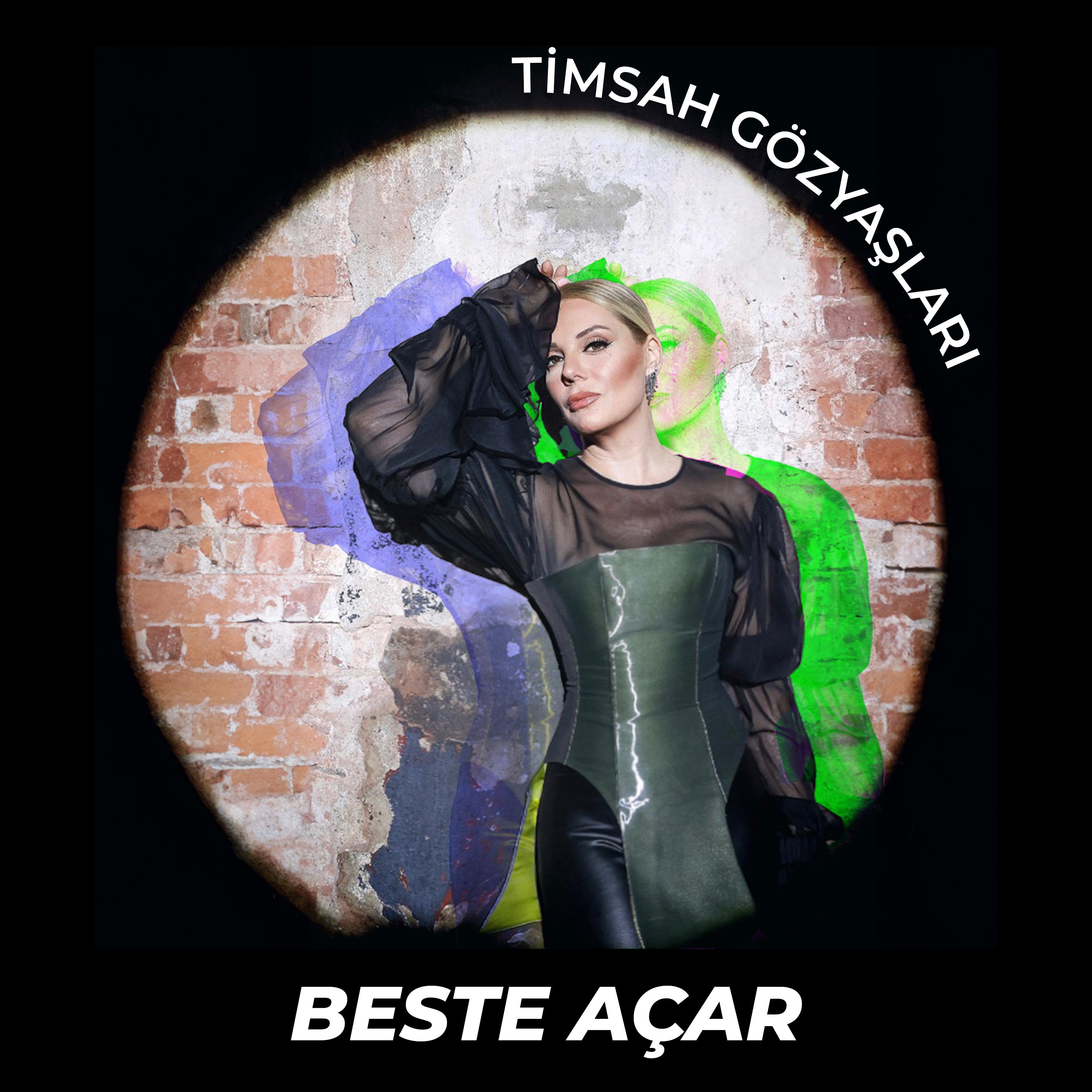 Постер альбома Timsah Gözyaşları