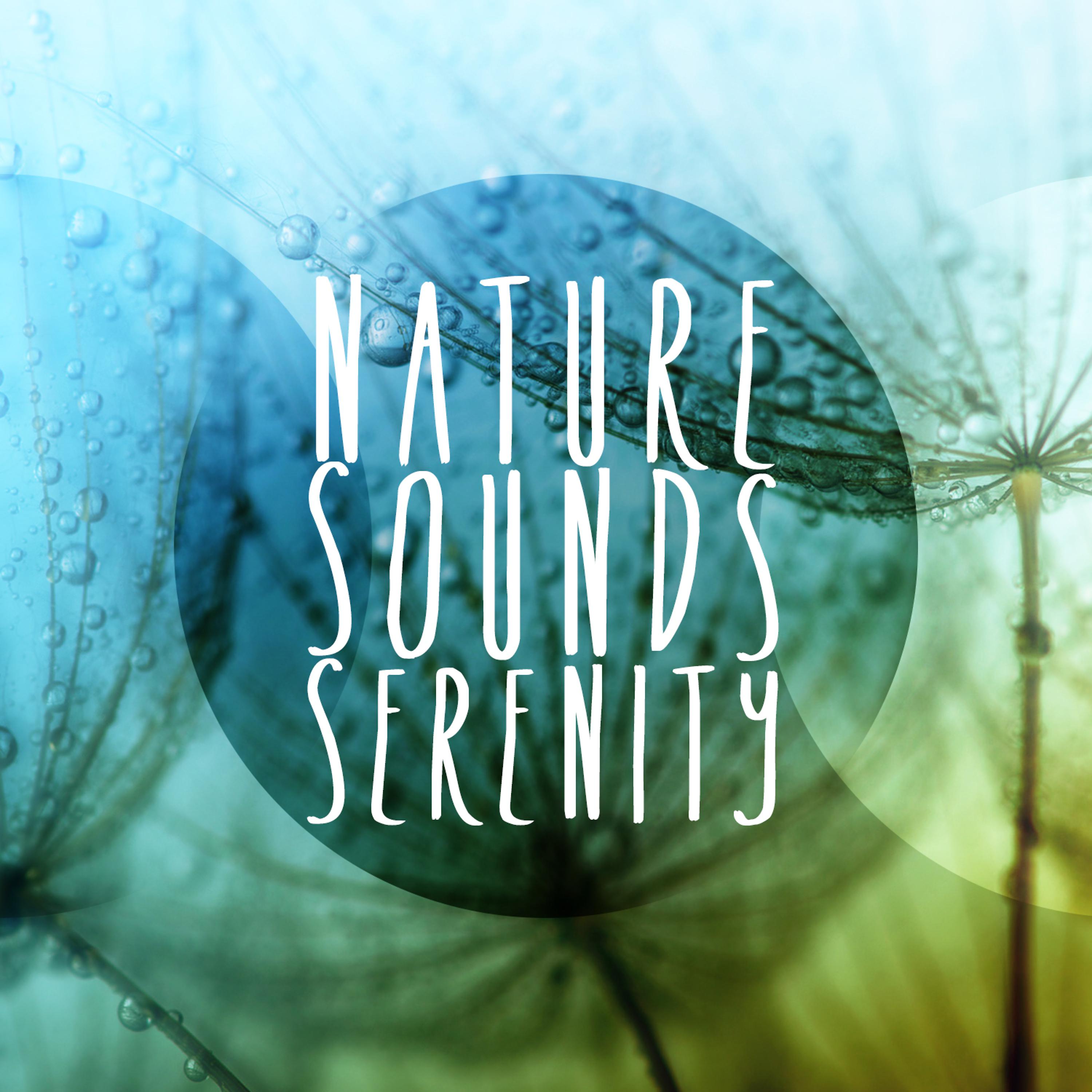 Постер альбома Nature Sounds - Serenity