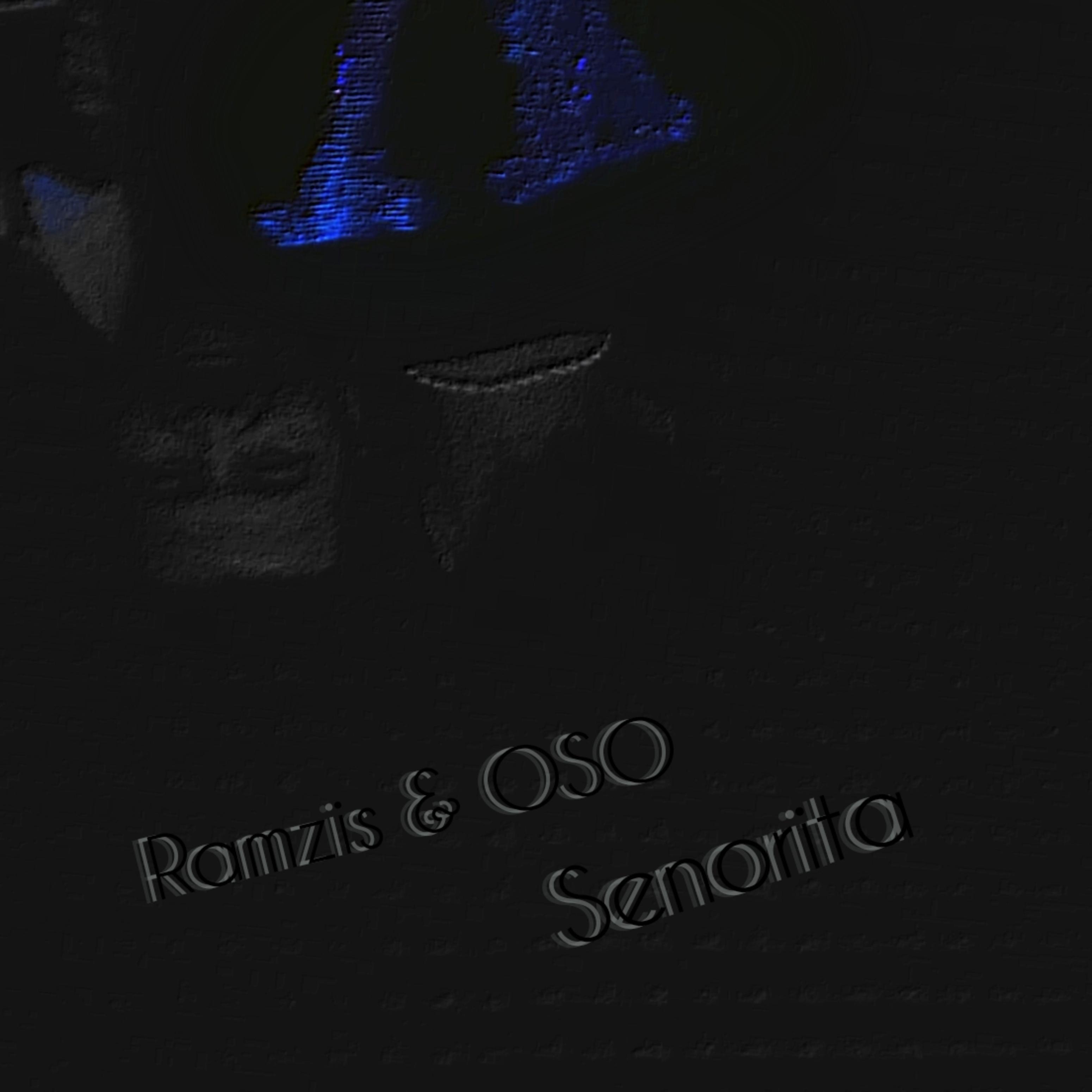 Постер альбома Senorita