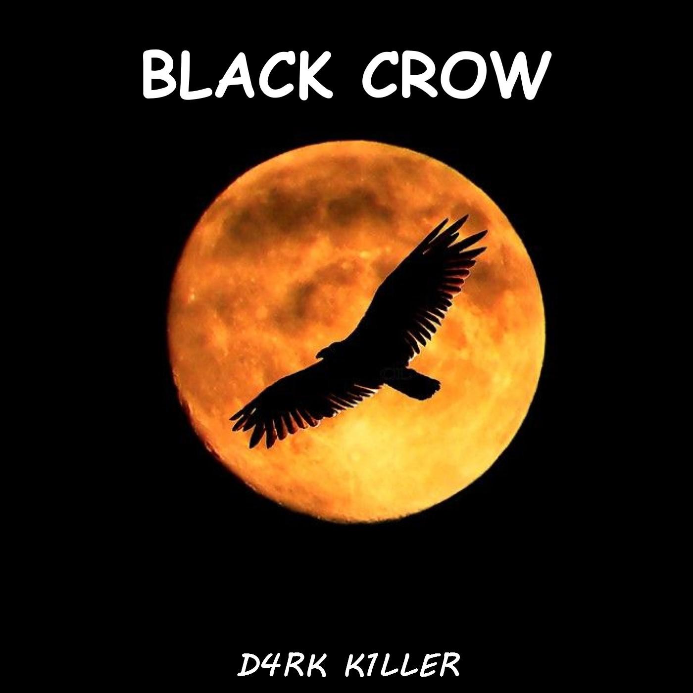 Постер альбома Black Crow