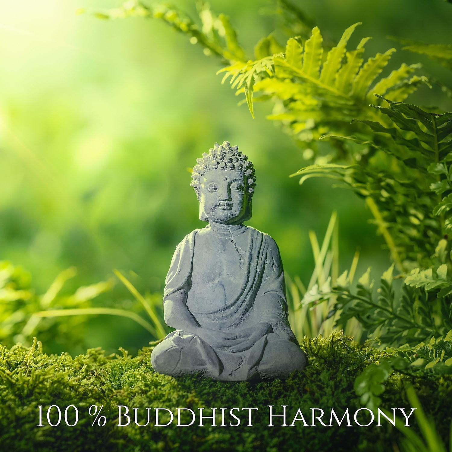 Постер альбома 100 % Buddhist Harmony: Be Blessed & Deep Calm, Yoga, Meditation Music