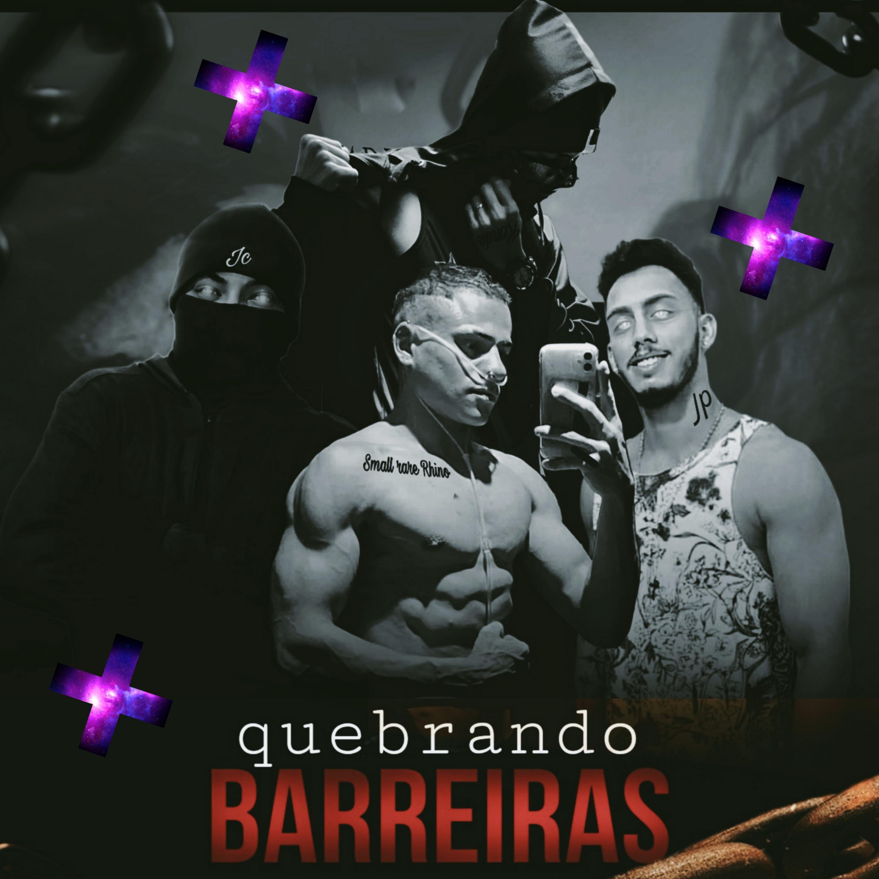 Постер альбома Quebrando Barreiras (Small Rhino)