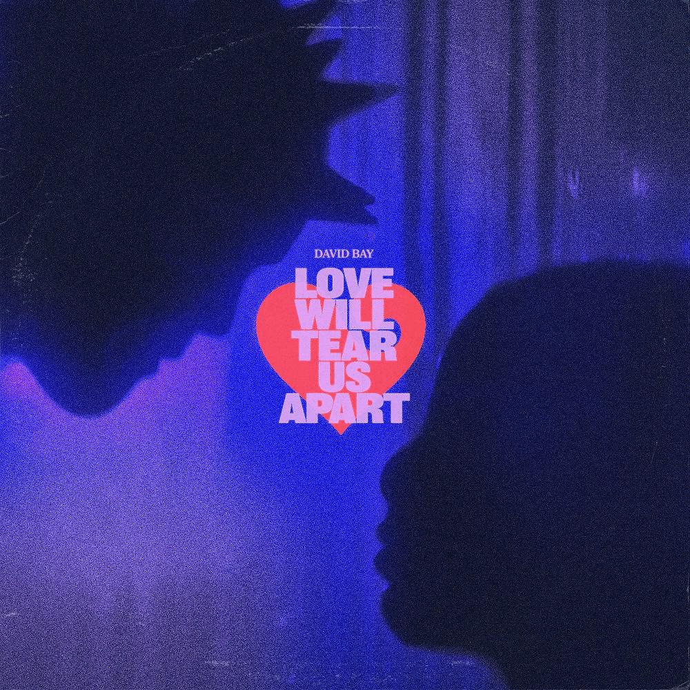 Постер альбома Love Will Tear Us Apart