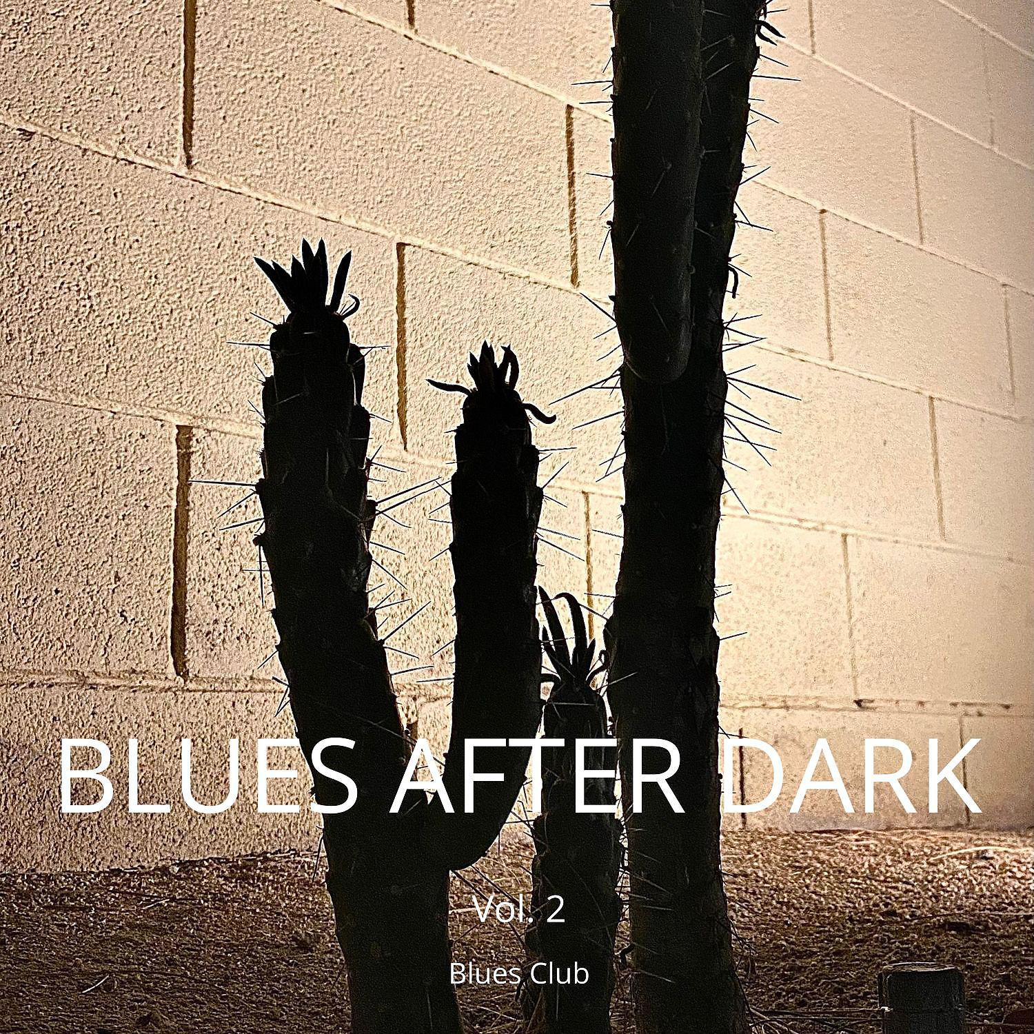 Постер альбома Blues After Dark Vol. 2