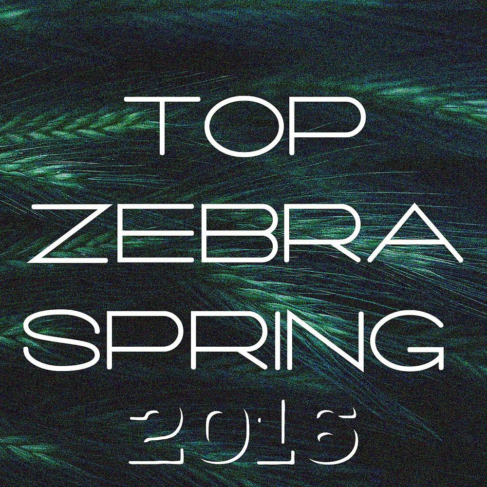 Постер альбома Top Zebra Spring 2016