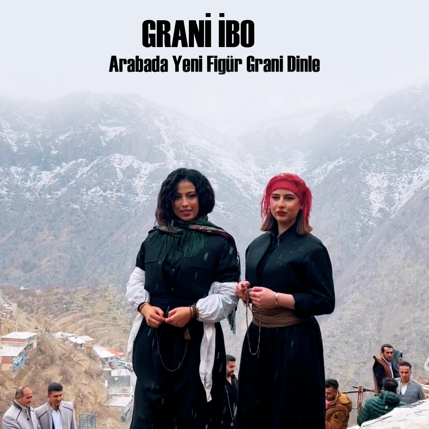 Постер альбома Arabada Yeni Figür Grani Dinle
