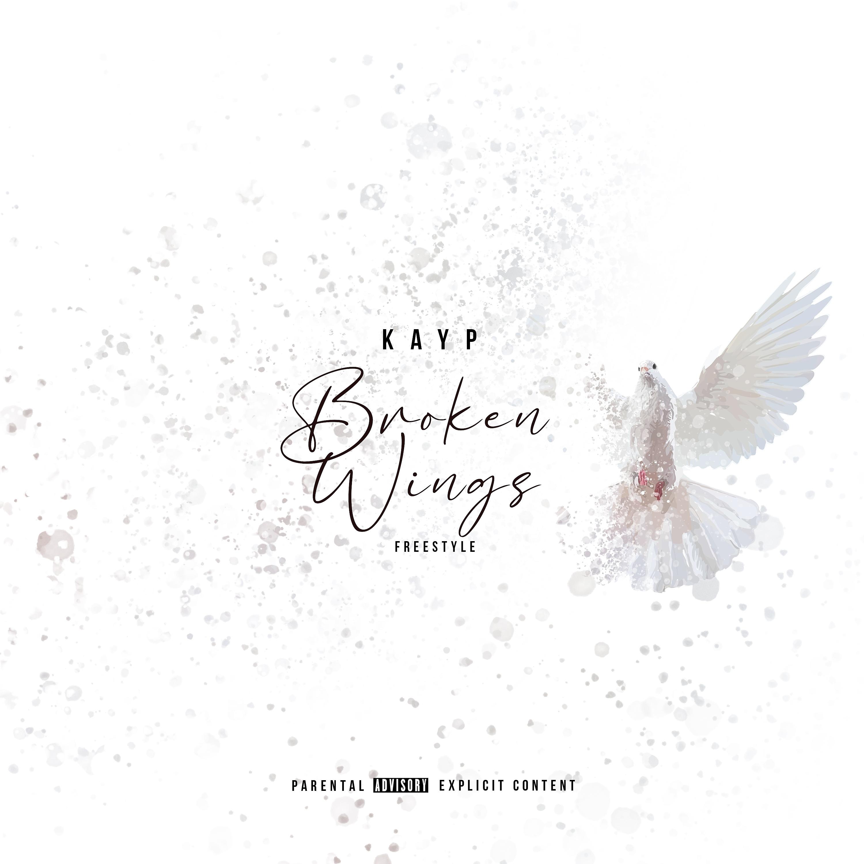 Постер альбома Broken Wings Freestyle