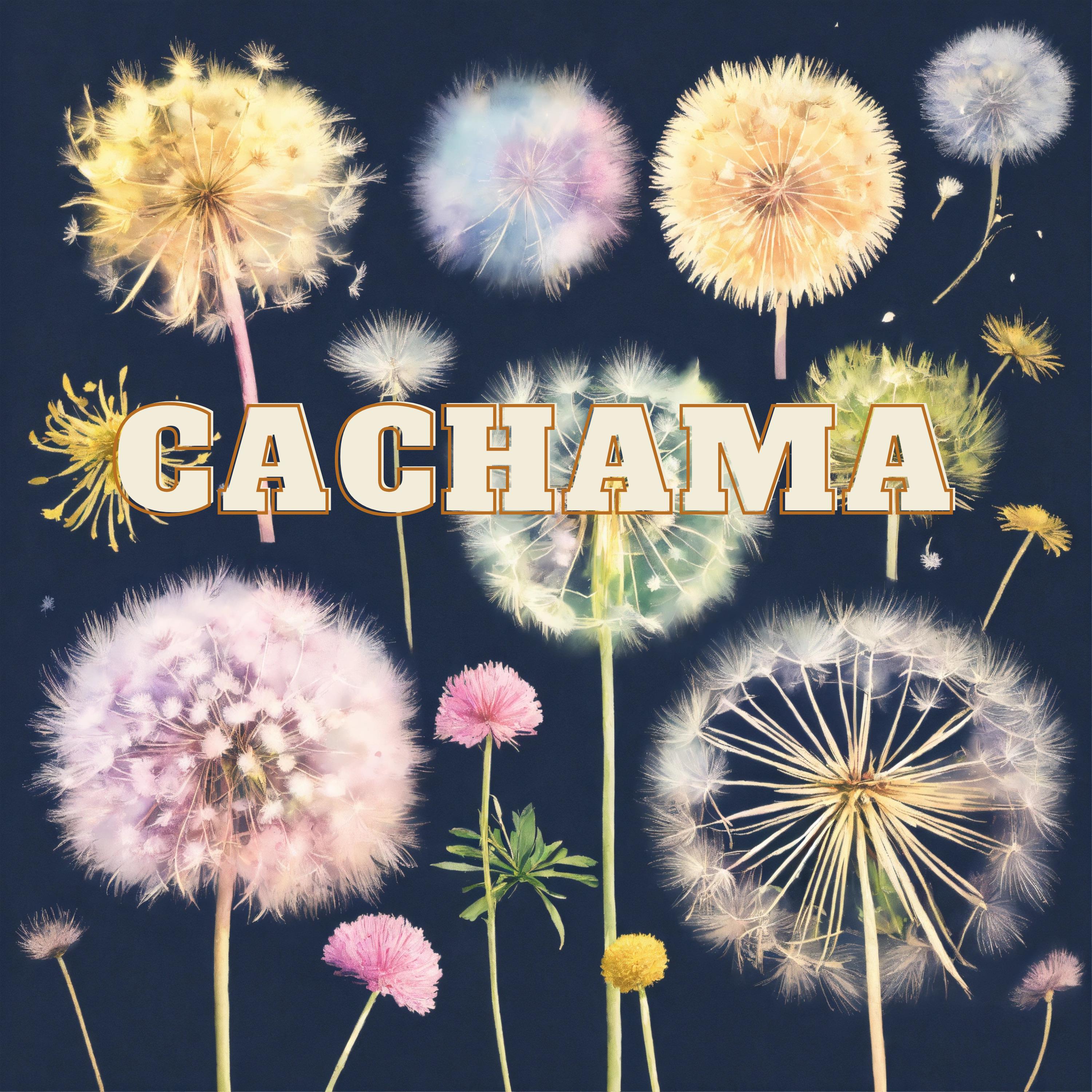 Постер альбома Cachama