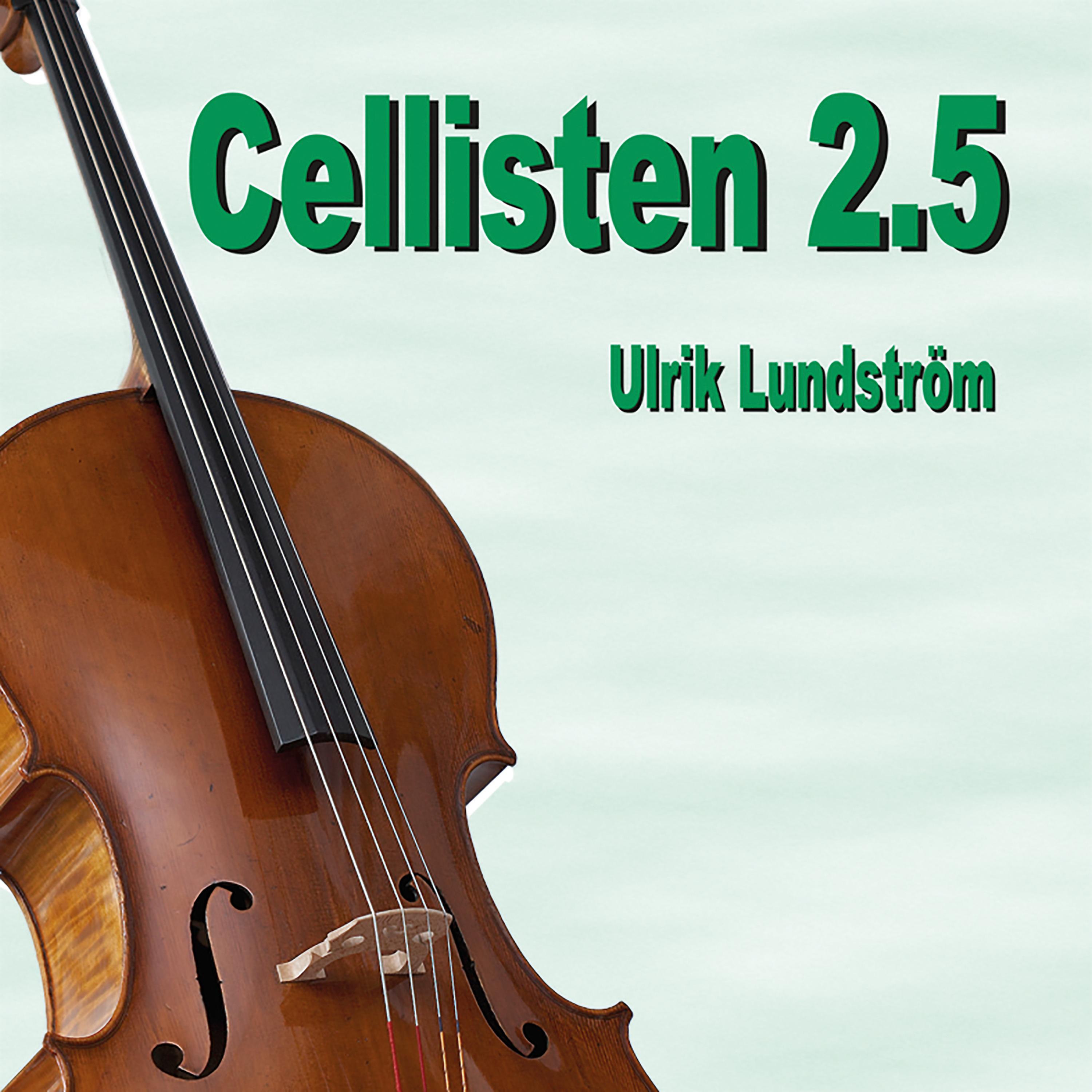 Постер альбома Cellisten 2.5