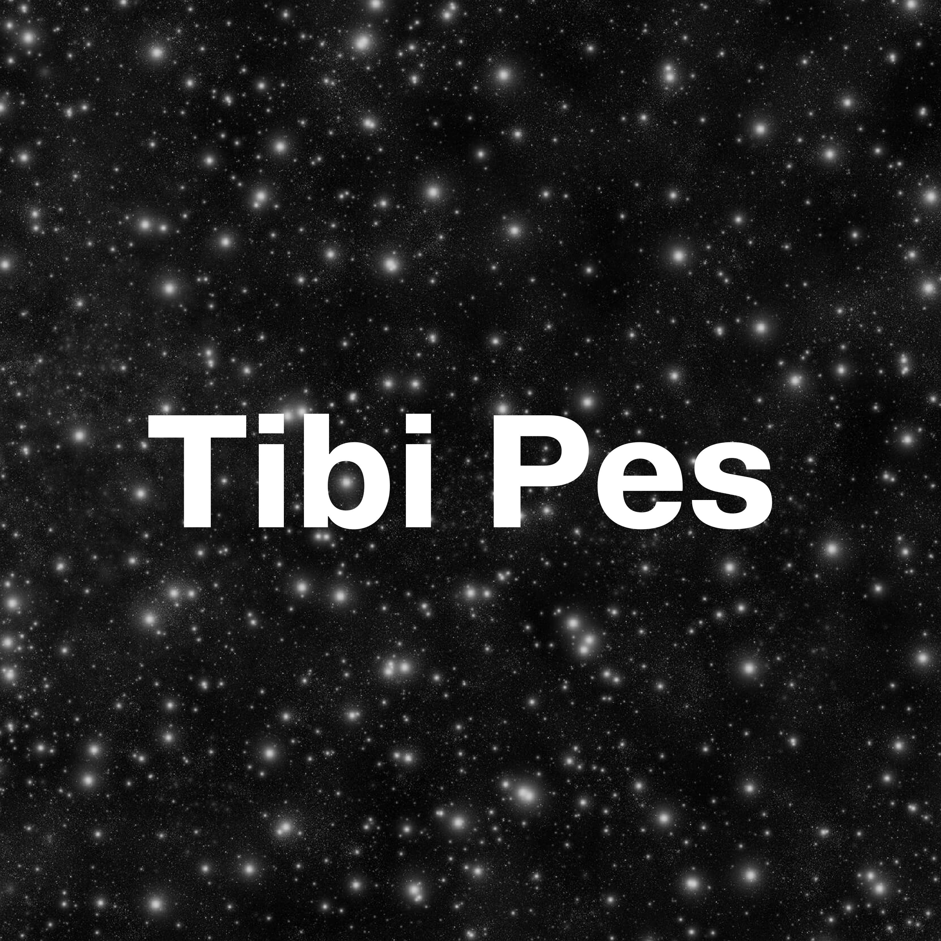 Постер альбома Tibi Pes