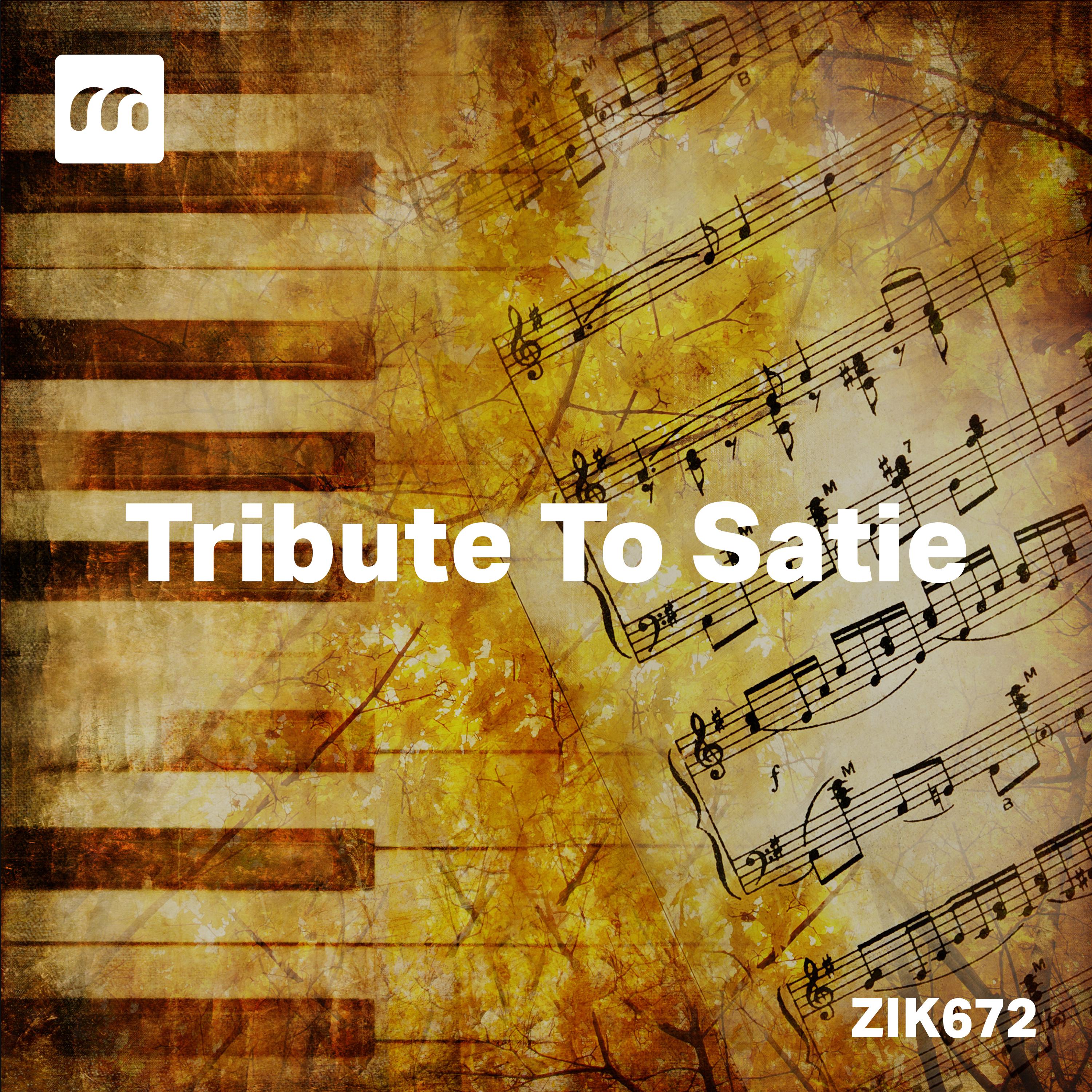Постер альбома Tribute To Satie