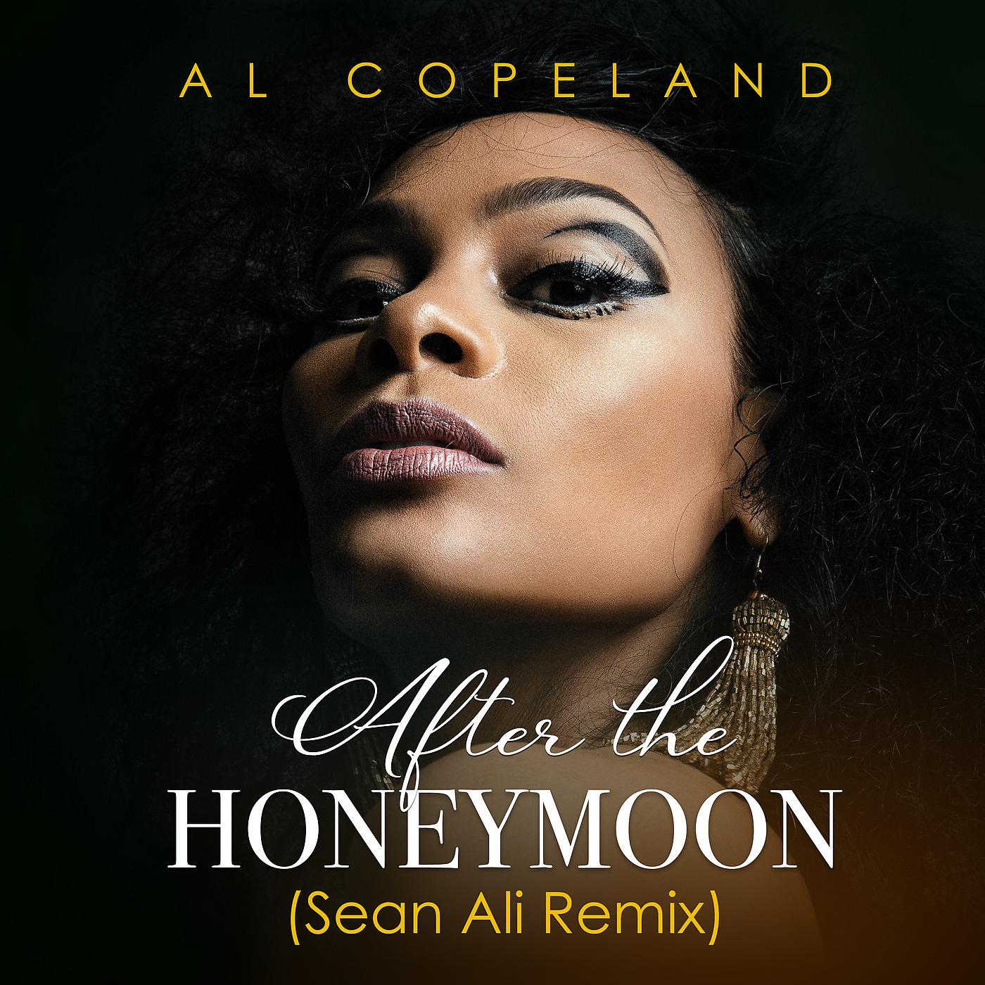 Постер альбома After the Honeymoon (Sean Ali Remix)