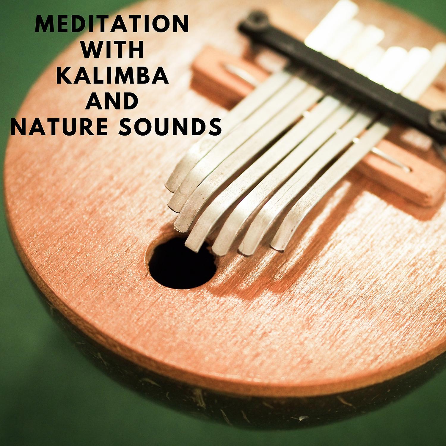 Постер альбома Meditation with Kalimba and Nature Sounds