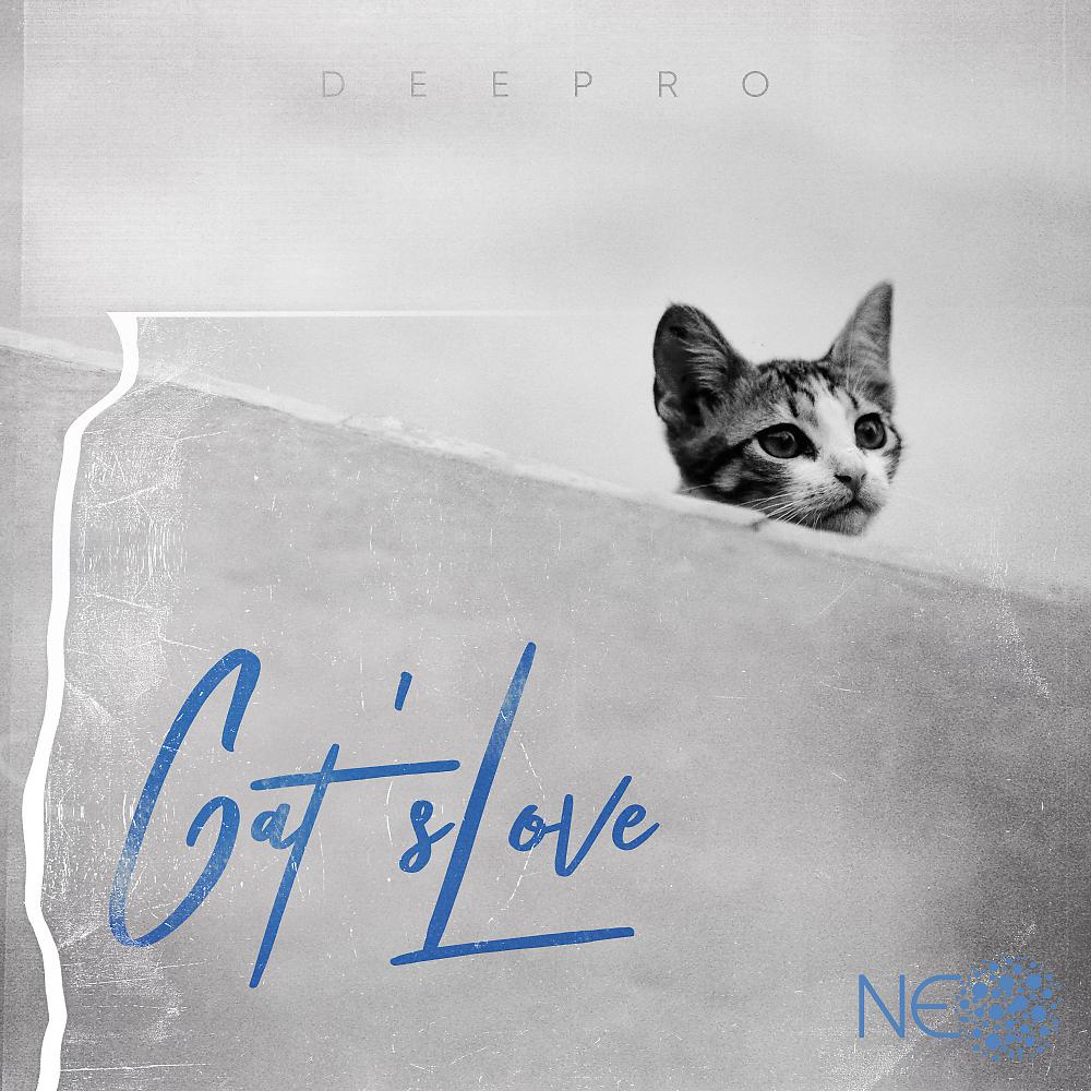 Постер альбома Cat's Love