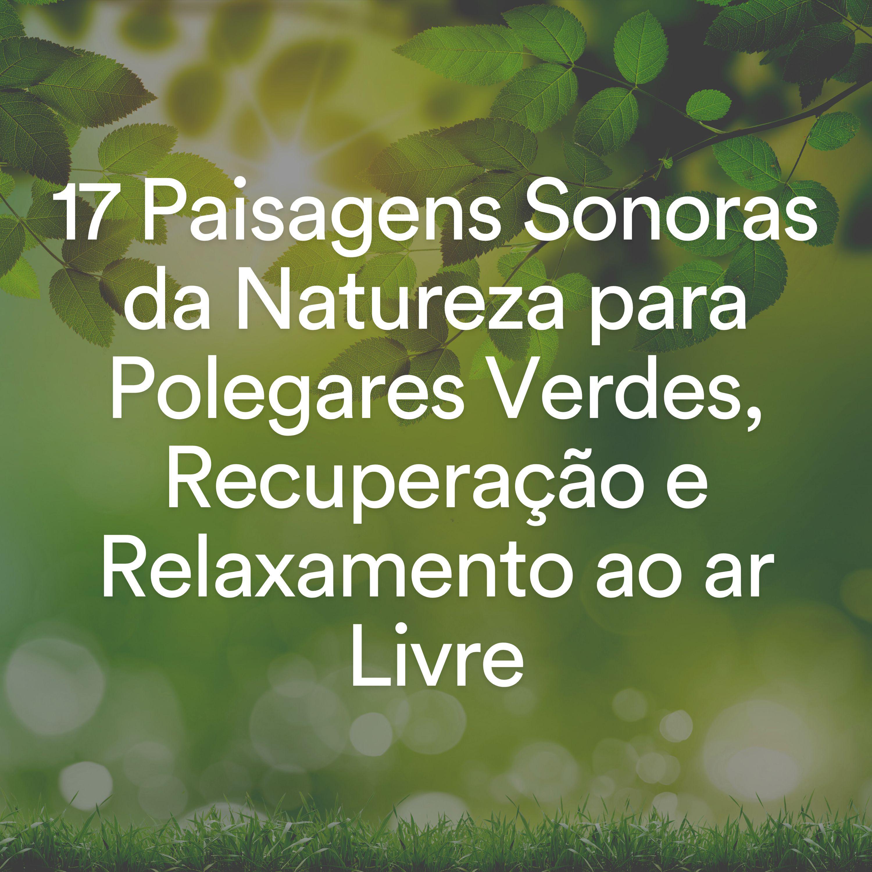 Постер альбома 17 Paisagens Sonoras da Natureza para Polegares Verdes, Recuperação e Relaxamento ao ar Livre