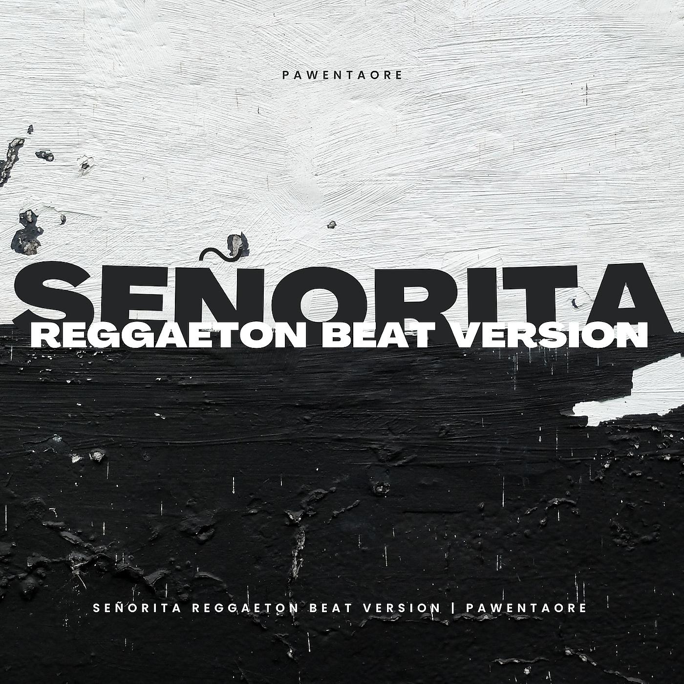 Постер альбома Señorita (Reggaeton Beat Version)