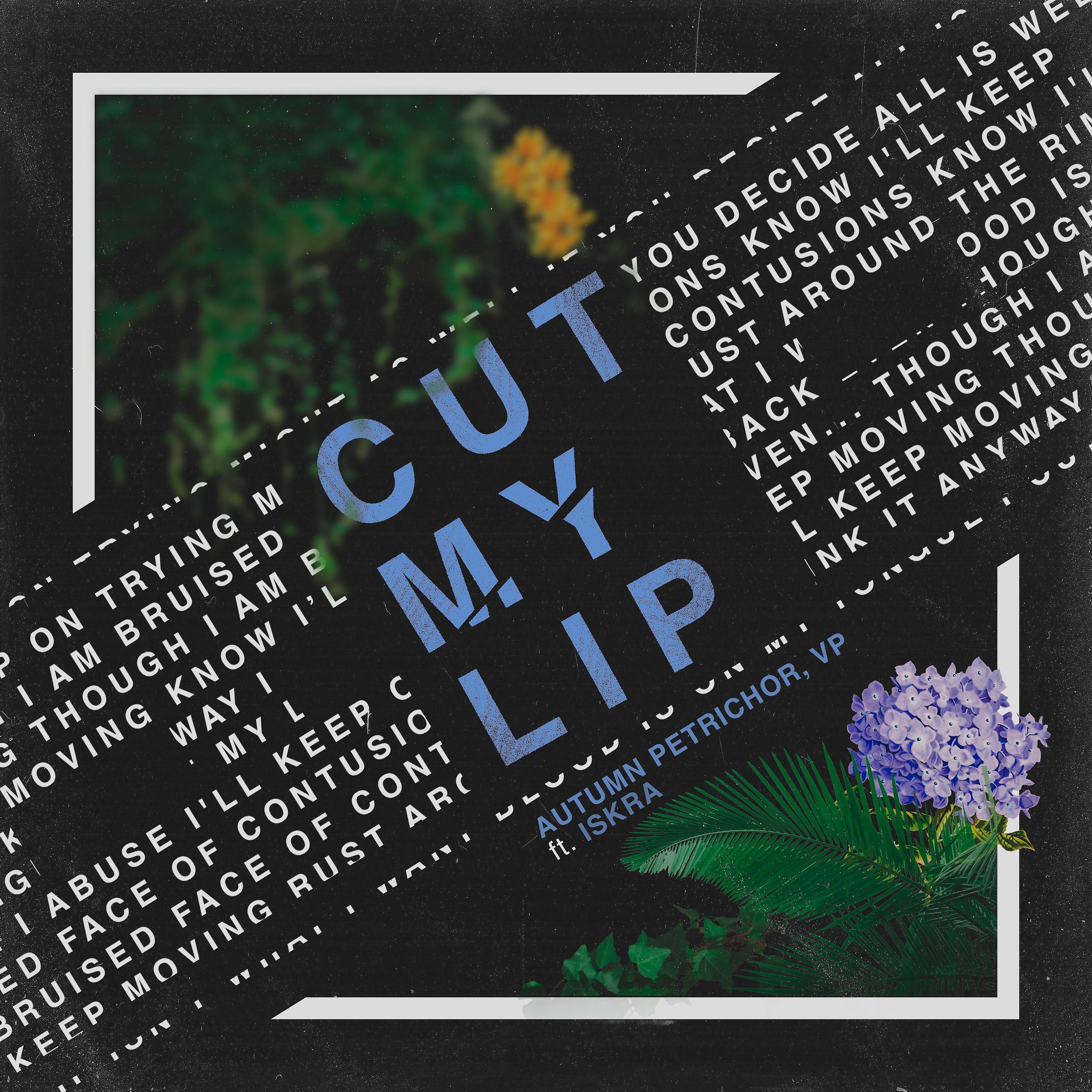 Постер альбома Cut My Lip