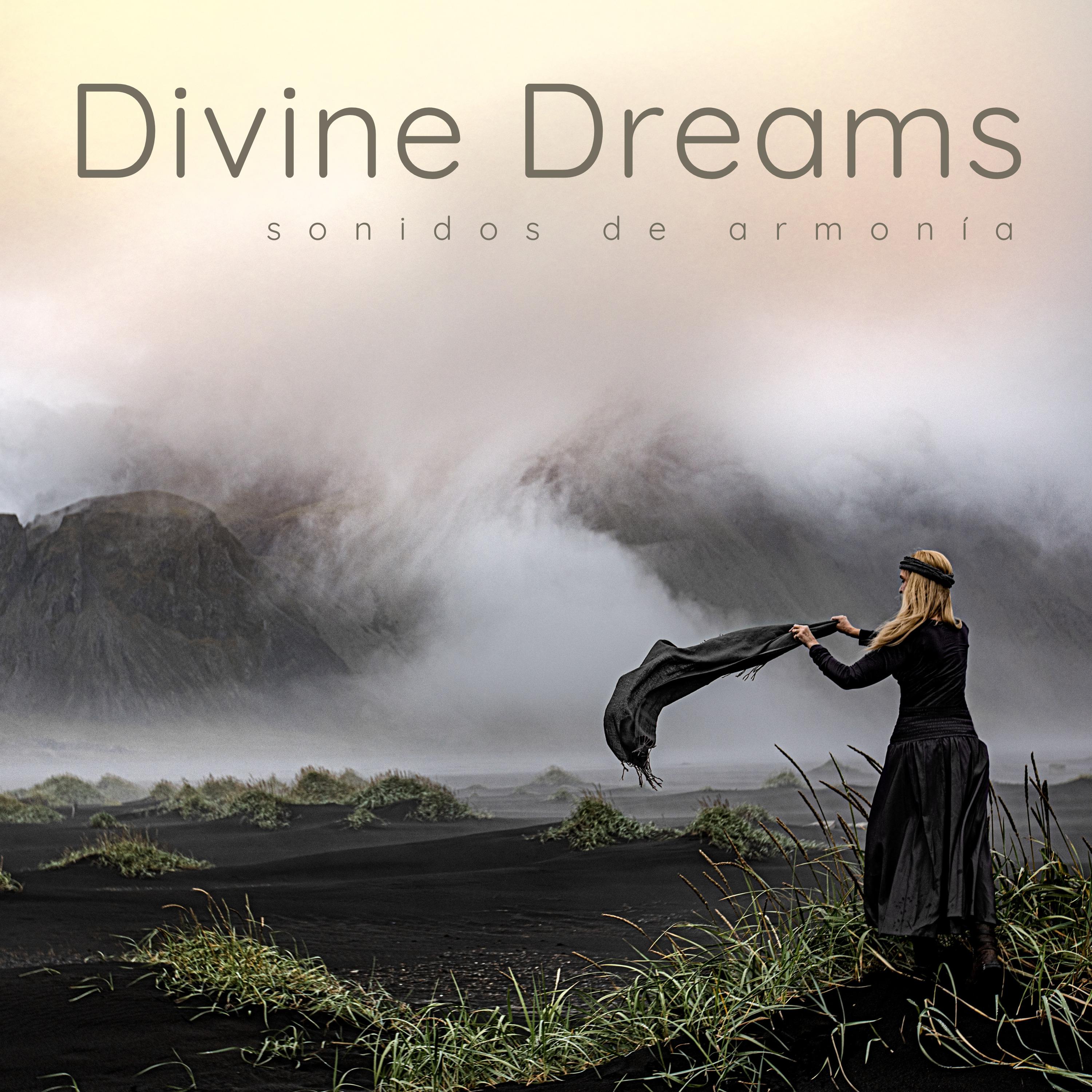 Постер альбома Divine Dreams 2
