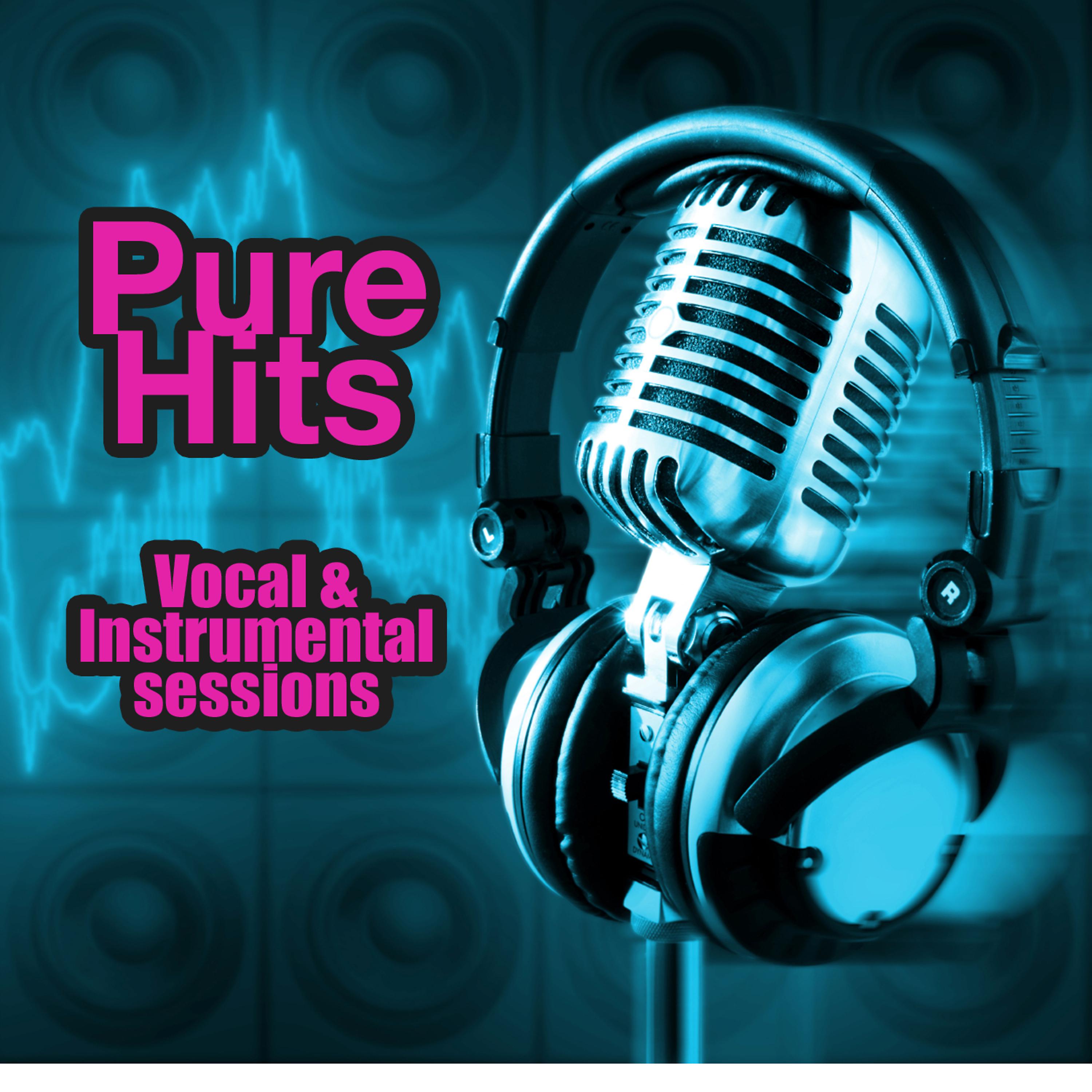 Постер альбома Pure Hits - Vocal & Instrumental Sessions