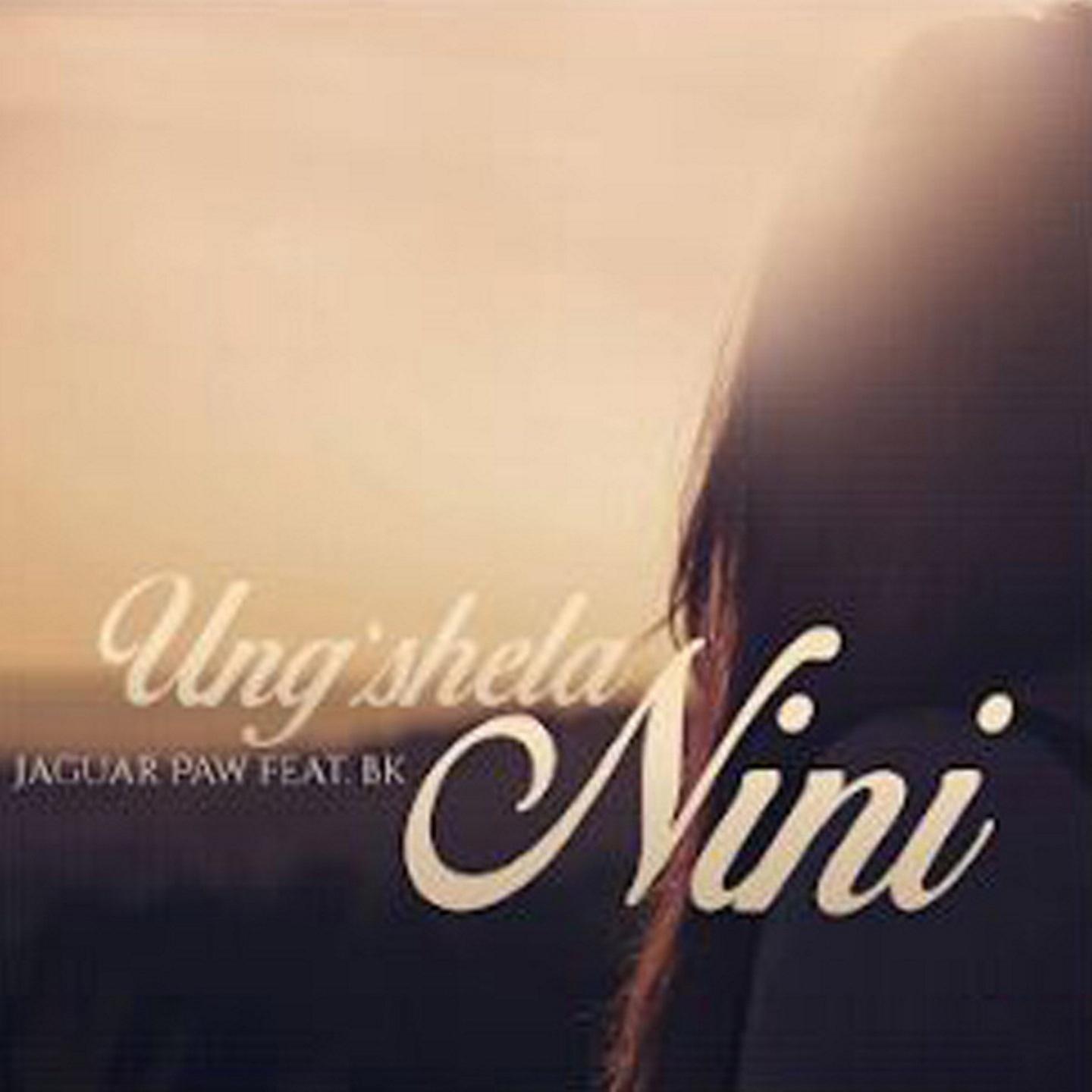 Постер альбома Ung'shela Nini
