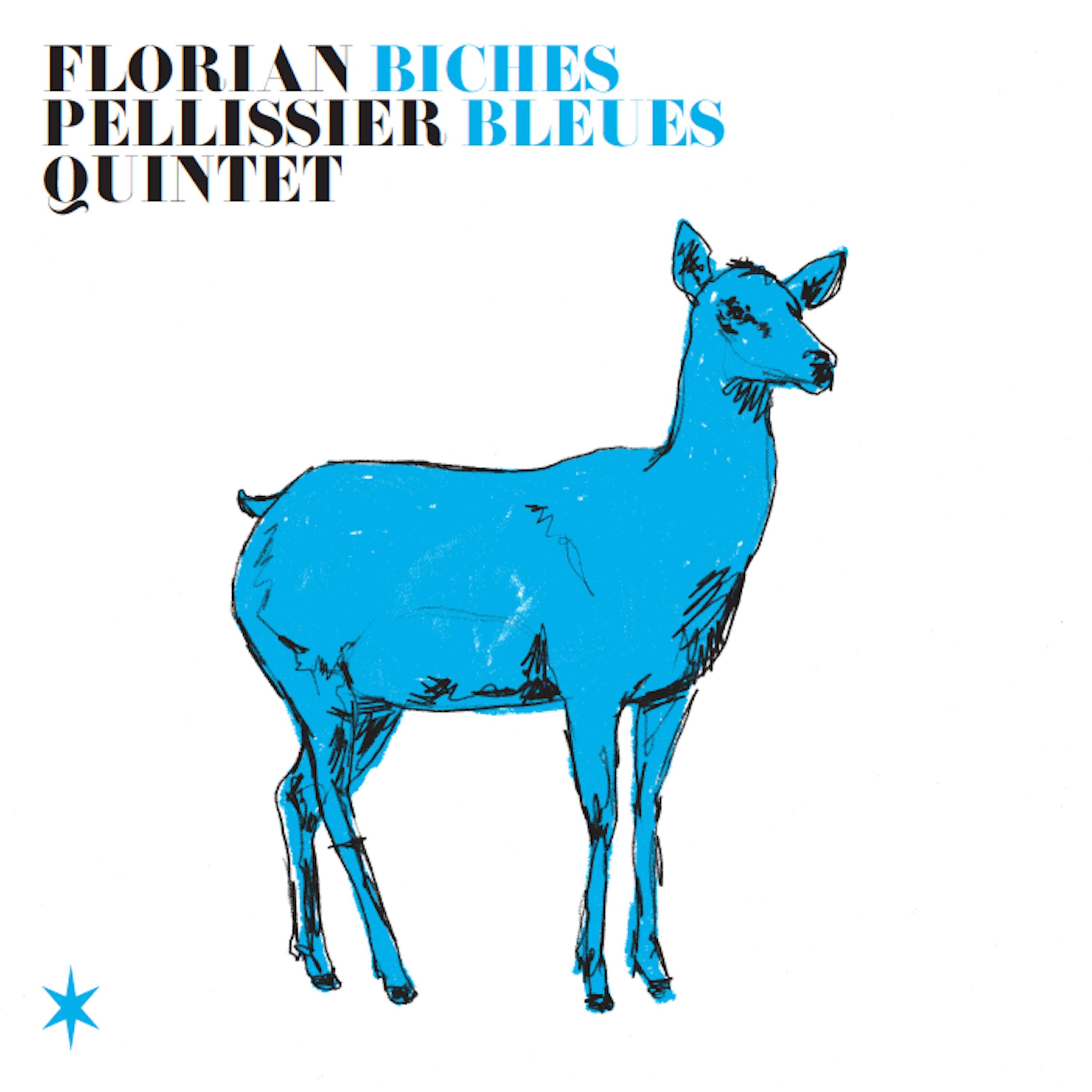 Постер альбома Biches bleues