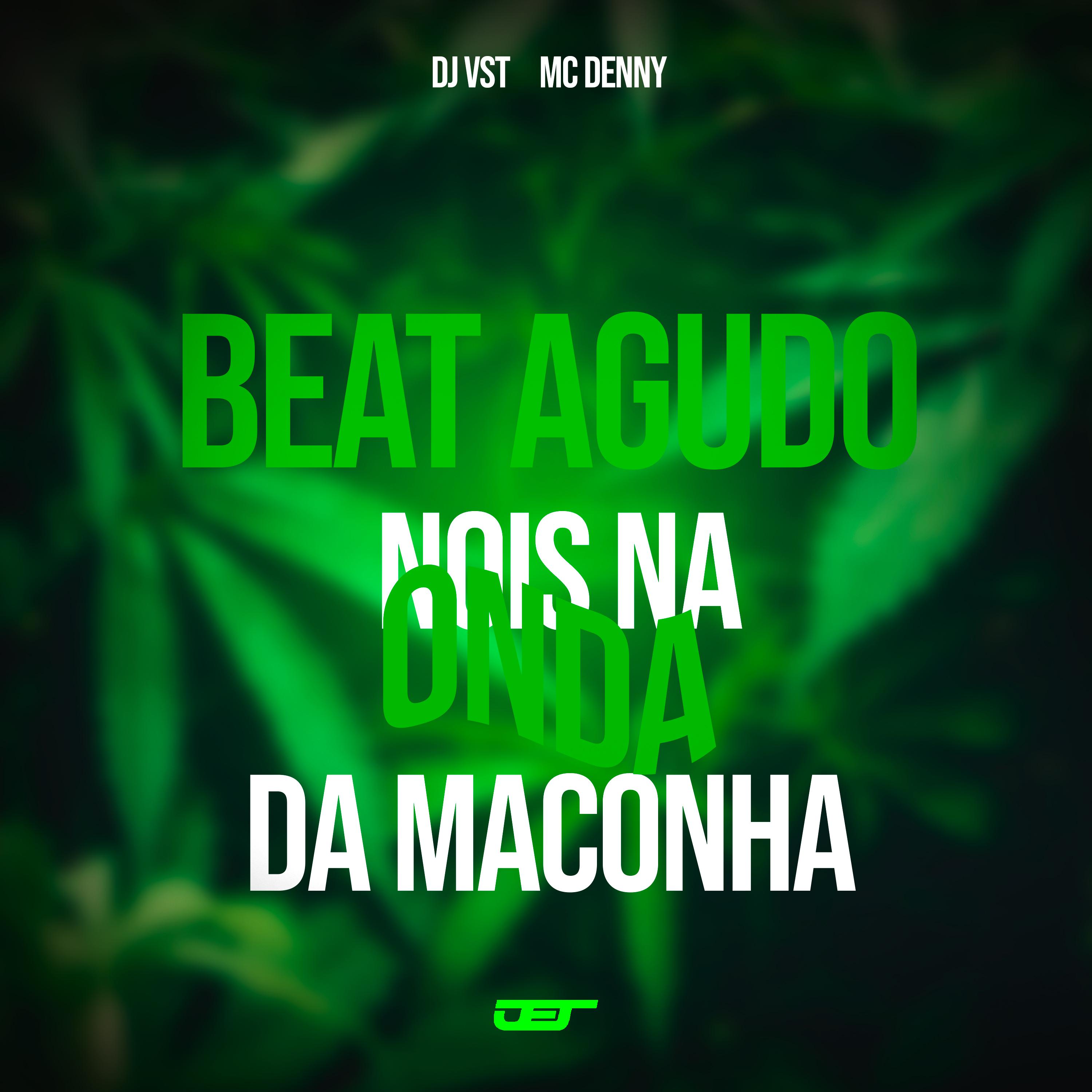 Постер альбома Beat Agudo Nois Na Onda da Maconha