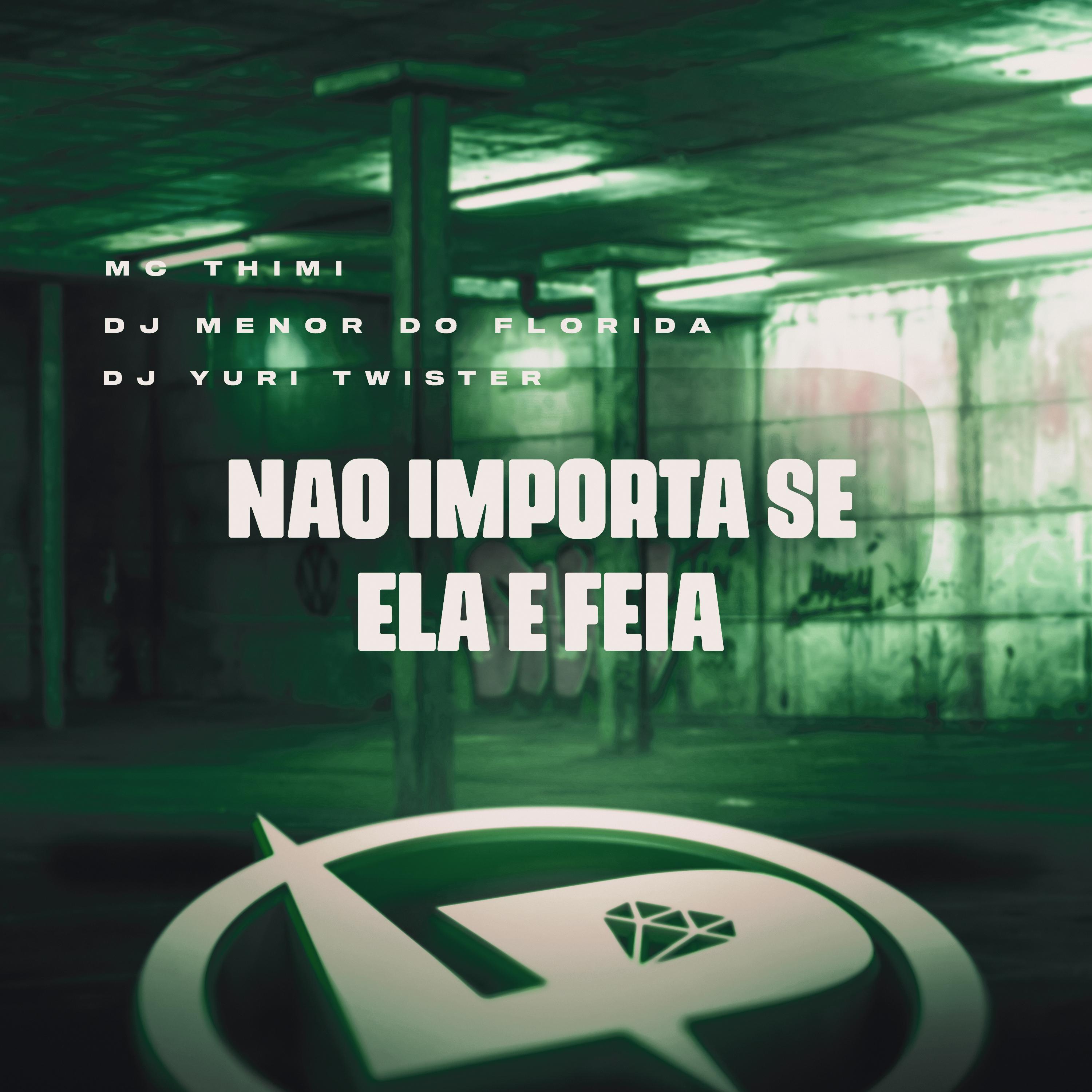 Постер альбома Não Importa Se Ela È Feia