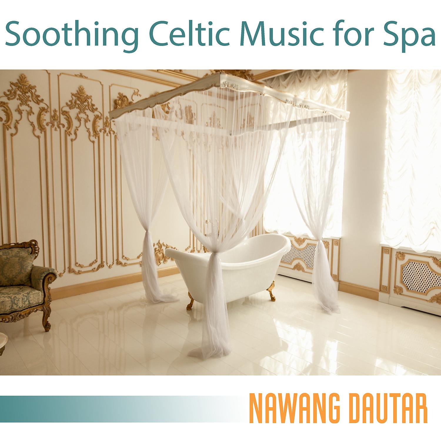 Постер альбома Soothing Celtic Music for Spa: Instrumental Celtic Relaxation, Celtic Mix 2022, Celtic Music for Yoga