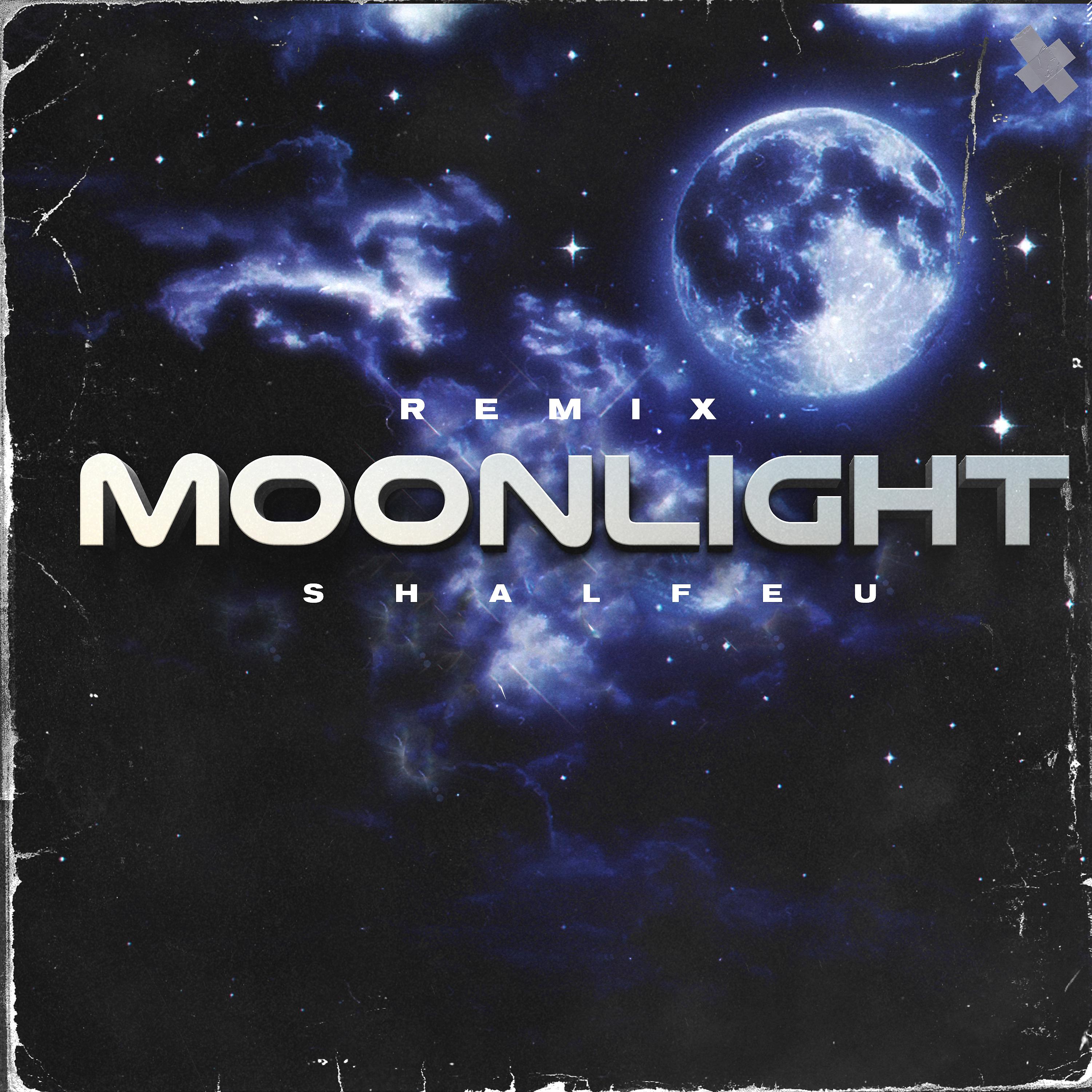 Постер альбома Moonlight (Remix)