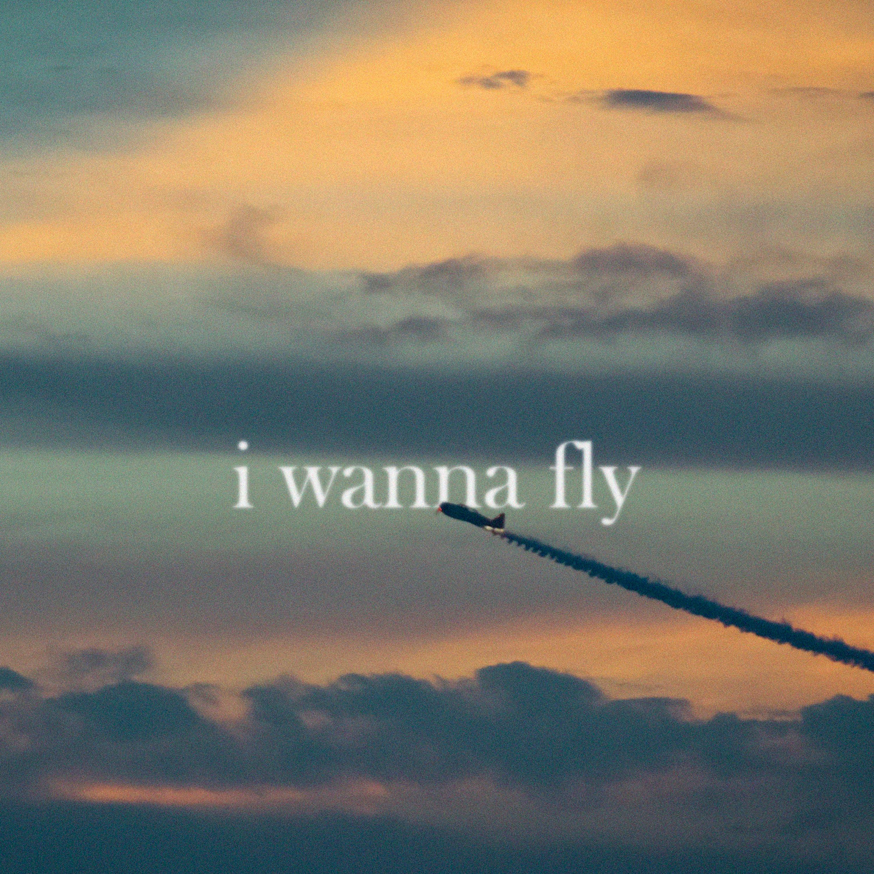 Постер альбома I Wanna Fly (Prod. by Mestami Eksponat)