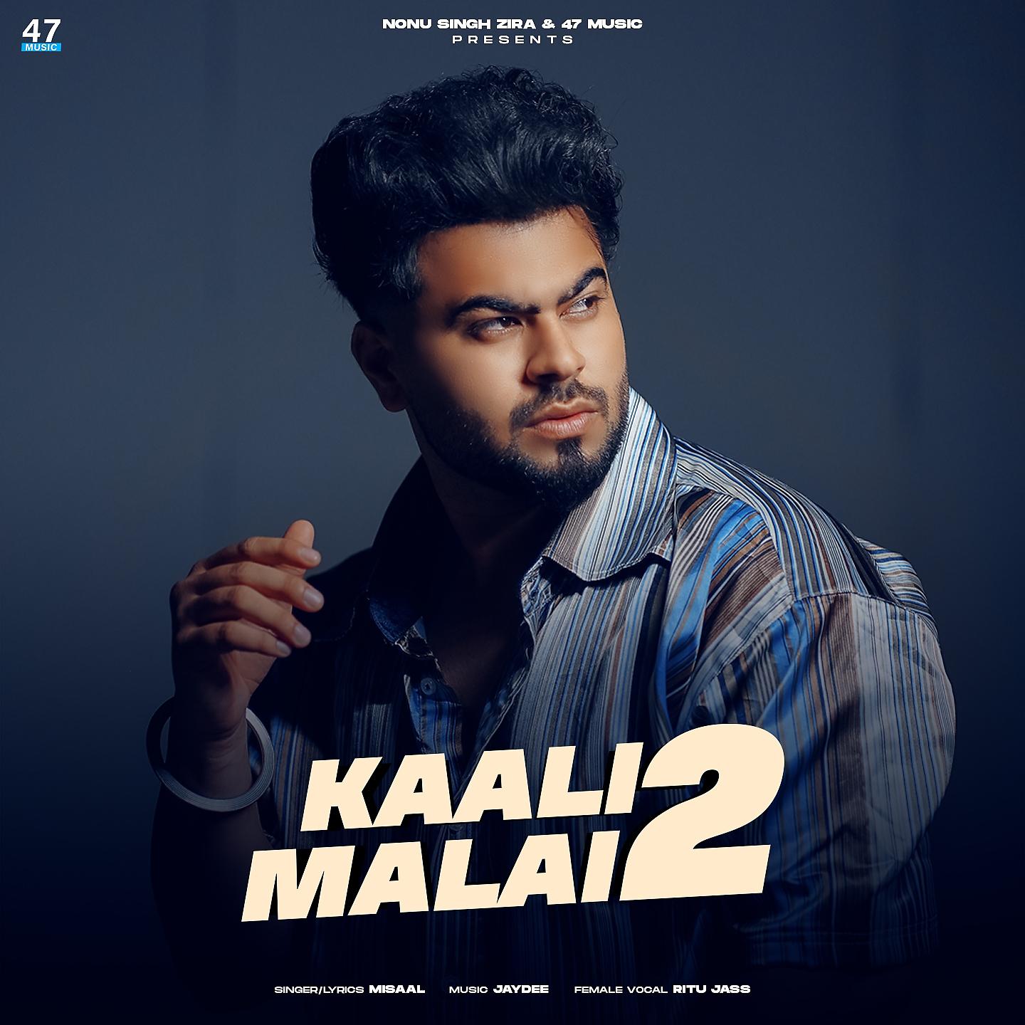 Постер альбома Kaali Malai 2