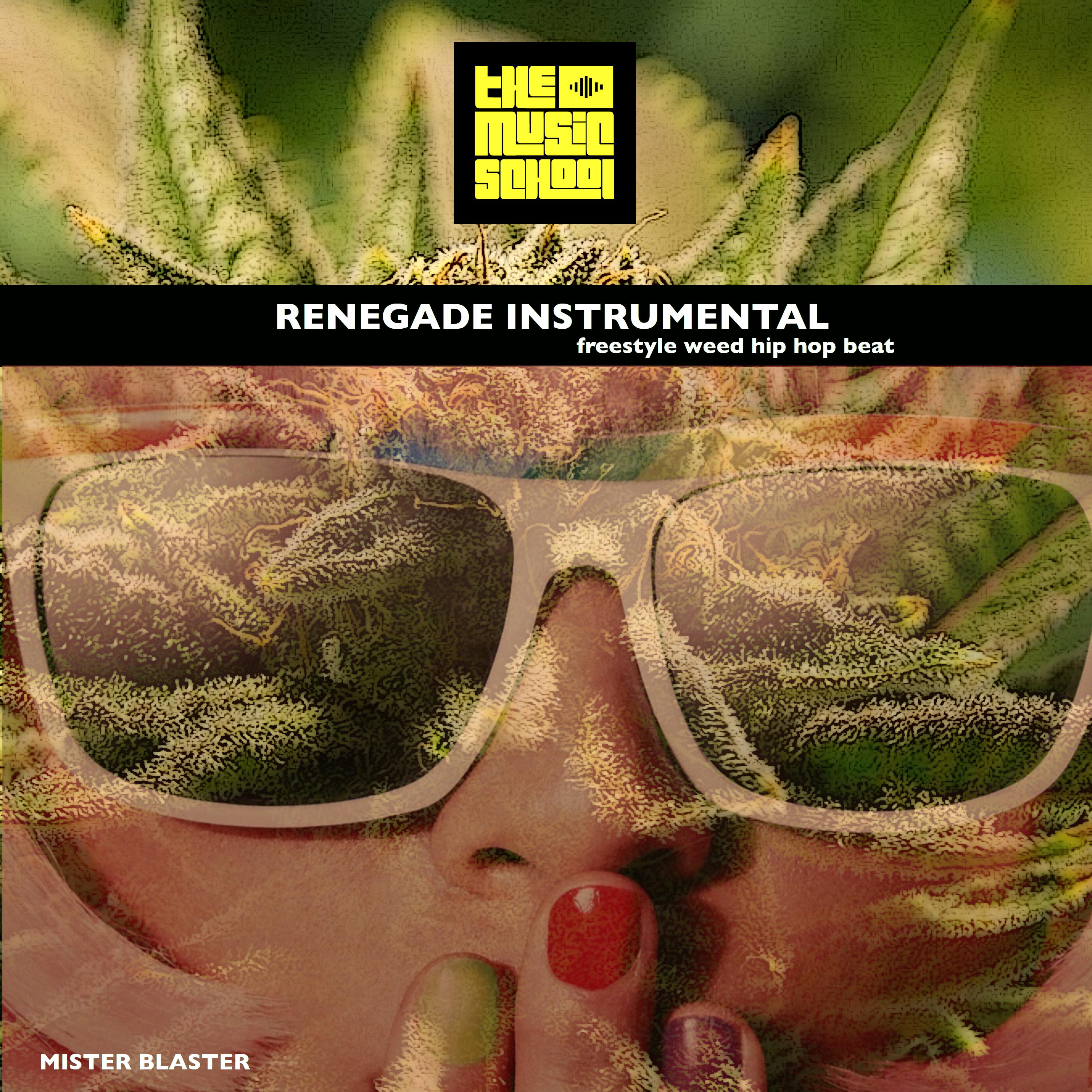 Постер альбома Renegade Instrumental