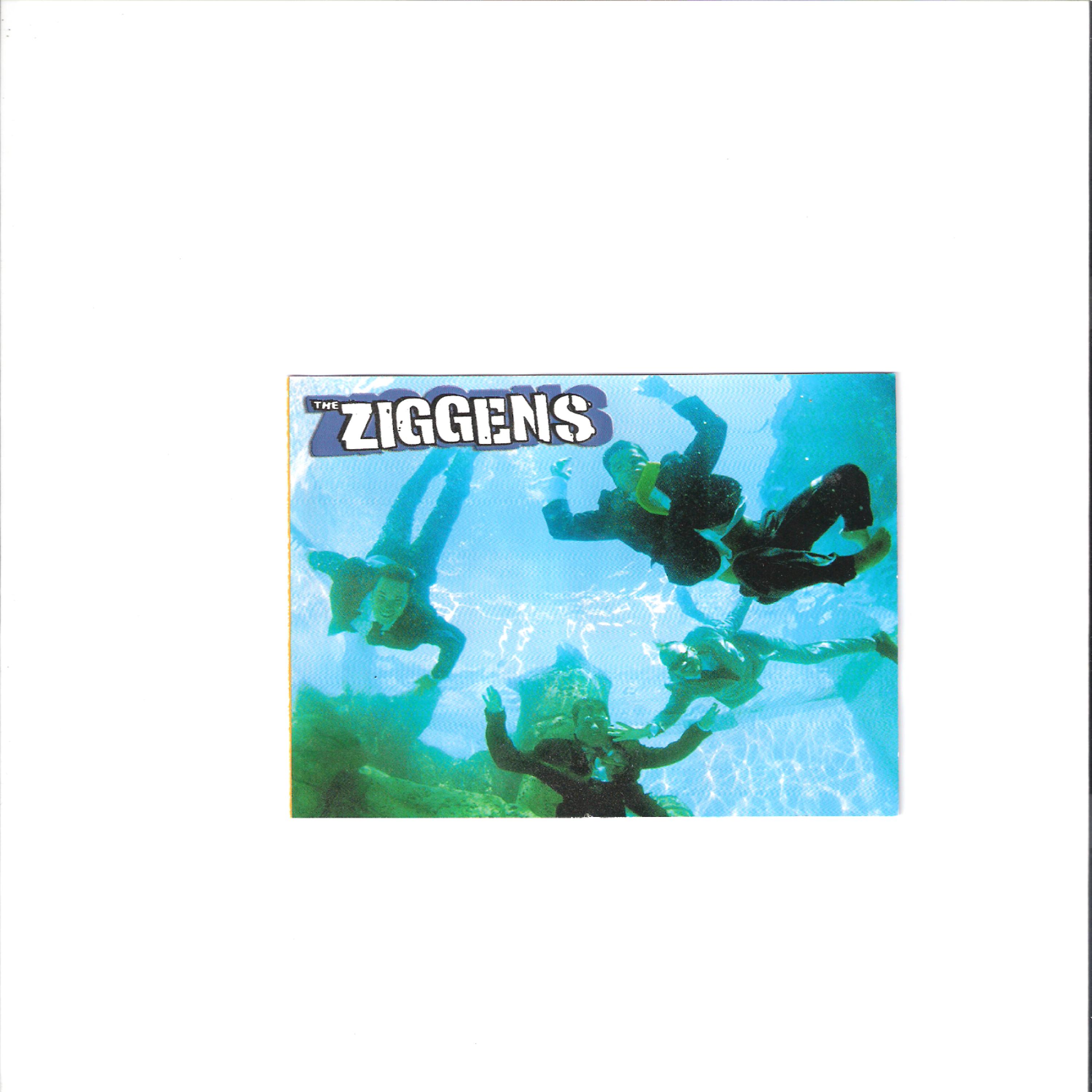 Постер альбома The Ziggens