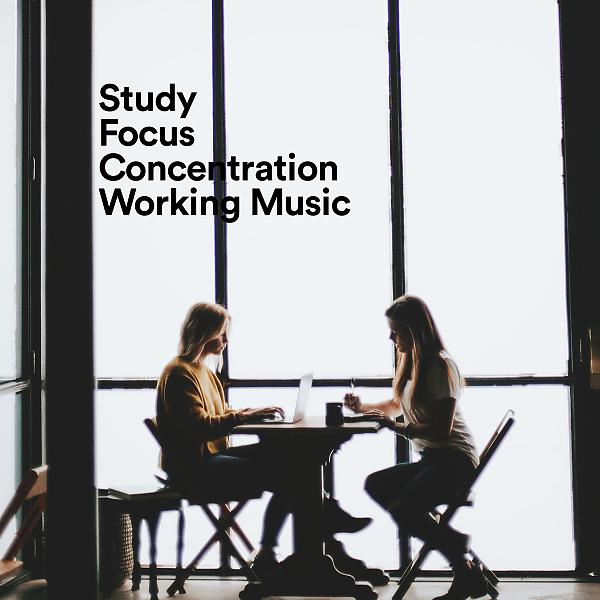 Постер альбома Study, Focus, Concentration, Working Music