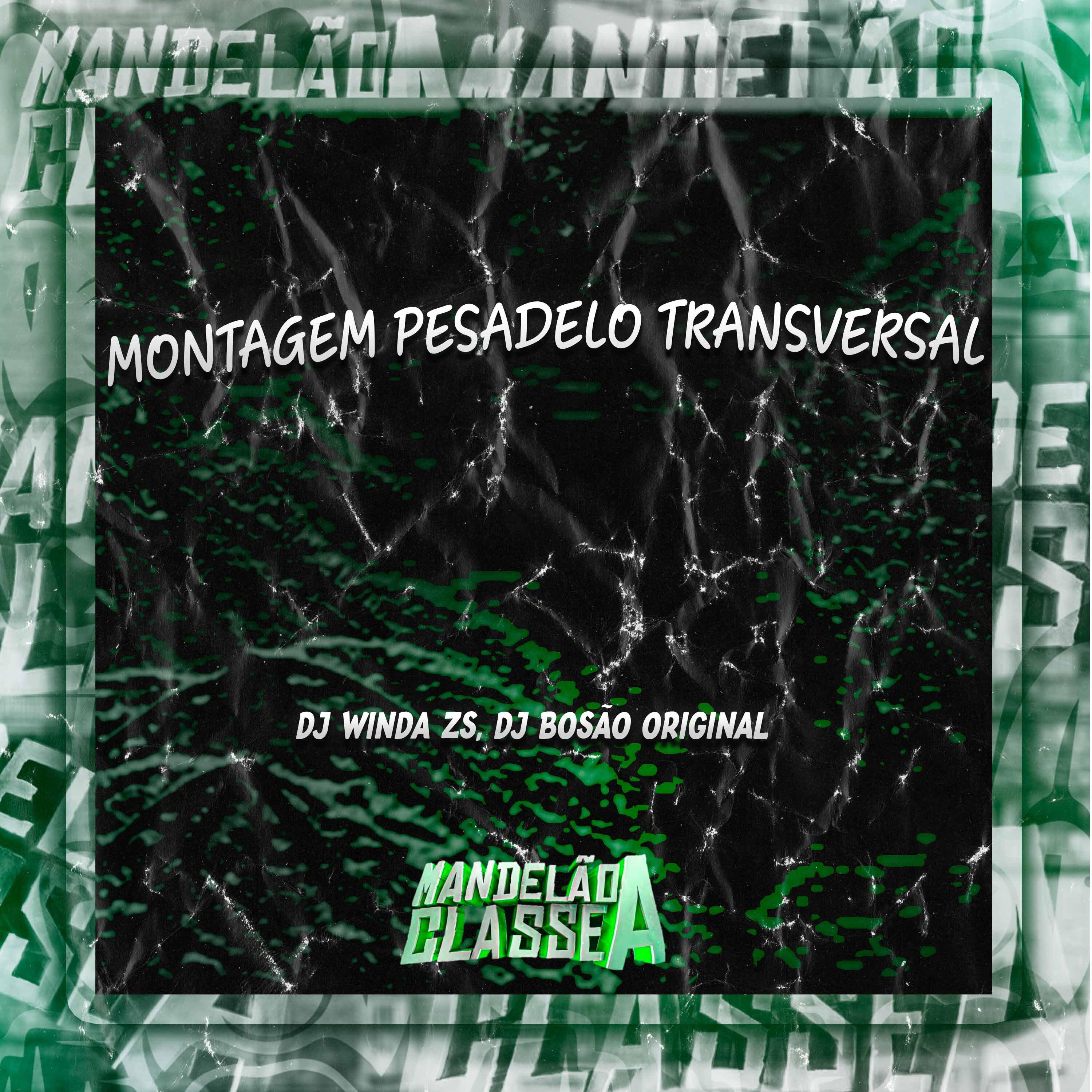 Постер альбома Montagem Pesadelo Transversal