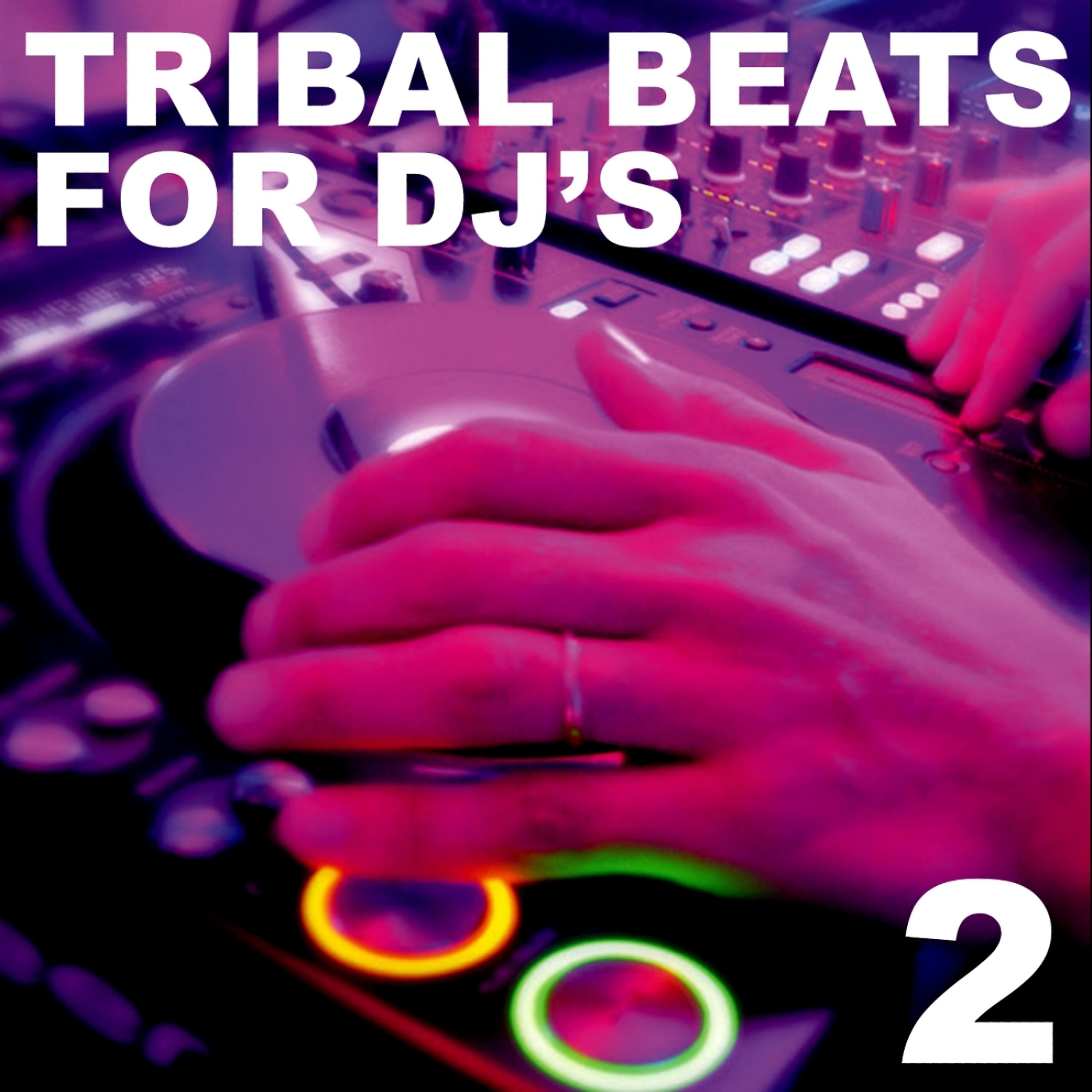 Постер альбома Tribal Beats for DJ's - Vol. 2